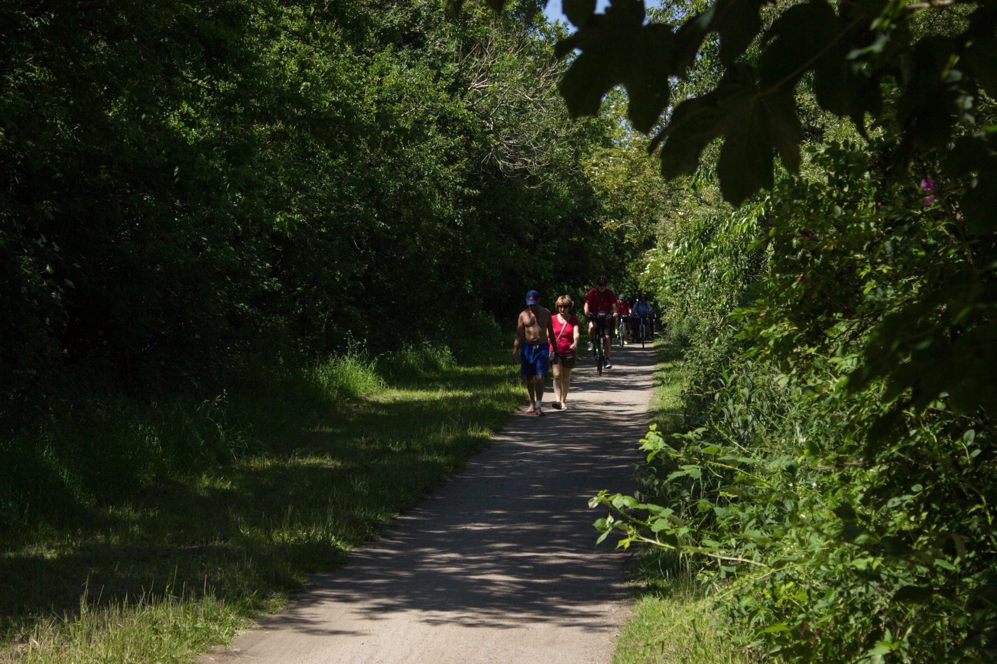 Wandern an der Ostsee von Kühlungsborn nach Börgerende auf dem E9, dritte Etappe des Wanderwegs an der Ostseeküste von Wismar nach Zingst, nach Ort Kühlungsborn geht es auf breiterem Kieselpfad weiter Richtung Heiligendamm, angenehm schattig durch Bäume, leider auch viele Fahrradfahrer unterwegs, man wird ständig überholt
