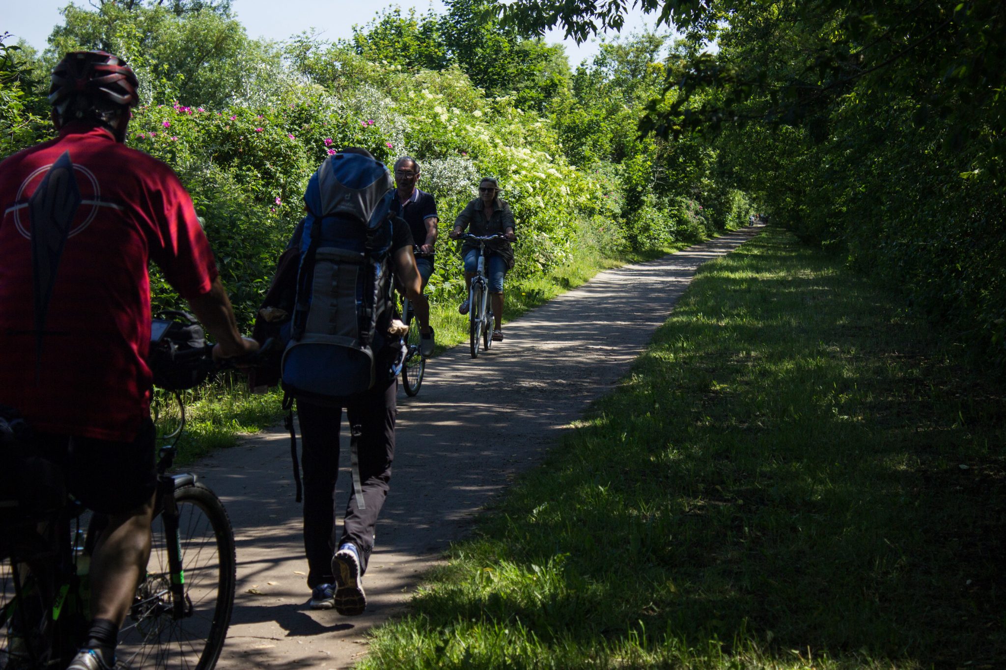Wandern an der Ostsee von Kühlungsborn nach Börgerende auf dem E9, dritte Etappe des Wanderwegs an der Ostseeküste von Wismar nach Zingst, nach Ort Kühlungsborn geht es auf breiterem Kieselpfad weiter Richtung Heiligendamm, angenehm schattig durch Bäume, leider auch viele Fahrradfahrer unterwegs, Wanderer werden ständig überholt