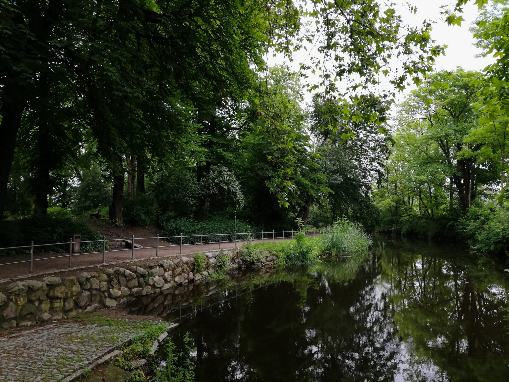 Wandern an der Ostsee von Wismar zum Salzhaff auf dem E9 Fernwanderweg, Stadtpark in Wismar kurz nach dem Start der Wanderung, schöne Bäume