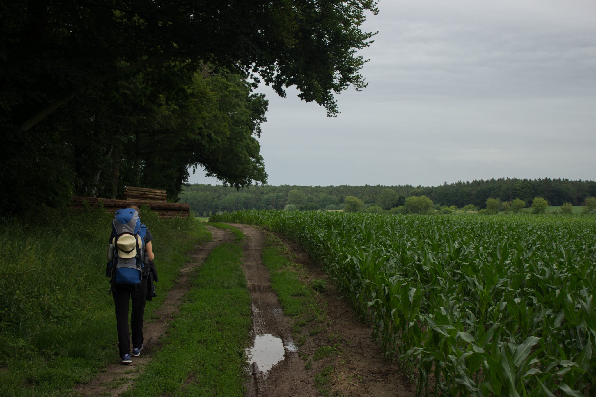 Wandern an der Ostsee von Wismar zum Salzhaff auf dem E9 Fernwanderweg, nach Wismar führt der Weg bald auf Feldwegen und schmalen Waldwegen entlang, Aussicht auf weite Felder und umliegende Landschaft, Wanderer mit großem Rucksack auf Mehrtageswanderung auf dem Fernwanderweg E9 unterwegs