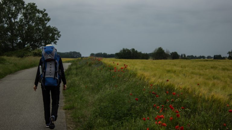 Wandern an der Ostsee von Wismar zum Salzhaff auf dem E9 Fernwanderweg, Wanderweg auf Feldwegen und schmalen Waldwegen, Aussicht auf weite Felder und umliegende Landschaft, bunte Wildblumenwiese mit schönen Blumen, rot blühende Mohnblumen, Wanderer mit großem Rucksack auf Mehrtageswanderung auf dem Fernwanderweg E9 unterwegs