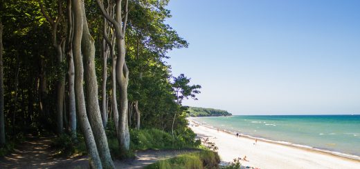 Wandern an der Ostsee von Börgerende nach Markgrafenheide auf dem E9, vierte Etappe des Wanderwegs an der Ostseeküste von Wismar nach Zingst, Wanderweg führt zwischen Nienhagen und Warnemünde zum großen Teil durch schönen Küstenwald mit Blick auf den schönen Ostseestrand, traumhafter Meerblick in Deutschland, schattenspendende Bäume