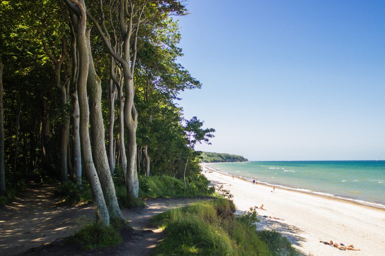 Wandern an der Ostsee von Börgerende nach Markgrafenheide auf dem E9, vierte Etappe des Wanderwegs an der Ostseeküste von Wismar nach Zingst, Wanderweg führt zwischen Nienhagen und Warnemünde zum großen Teil durch schönen Küstenwald mit Blick auf den schönen Ostseestrand, traumhafter Meerblick in Deutschland, schattenspendende Bäume