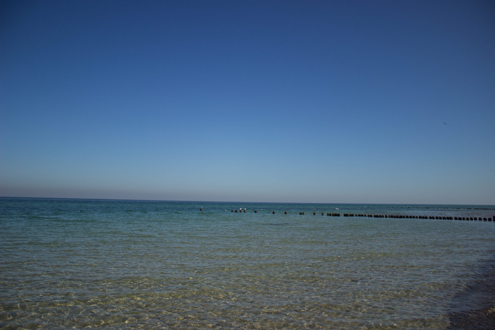 Wandern an der Ostsee von Markgrafenheide nach Dierhagen auf dem E9, fünfte Etappe des Wanderwegs an der Ostseeküste von Wismar nach Zingst, kristallklares und angenehm kühles Meerwasser an der Ostsee, Buhnen zum Küstenschutz vermindern die Strömungen in der Ostsee, sanfte Wellen rollen ans Ufer