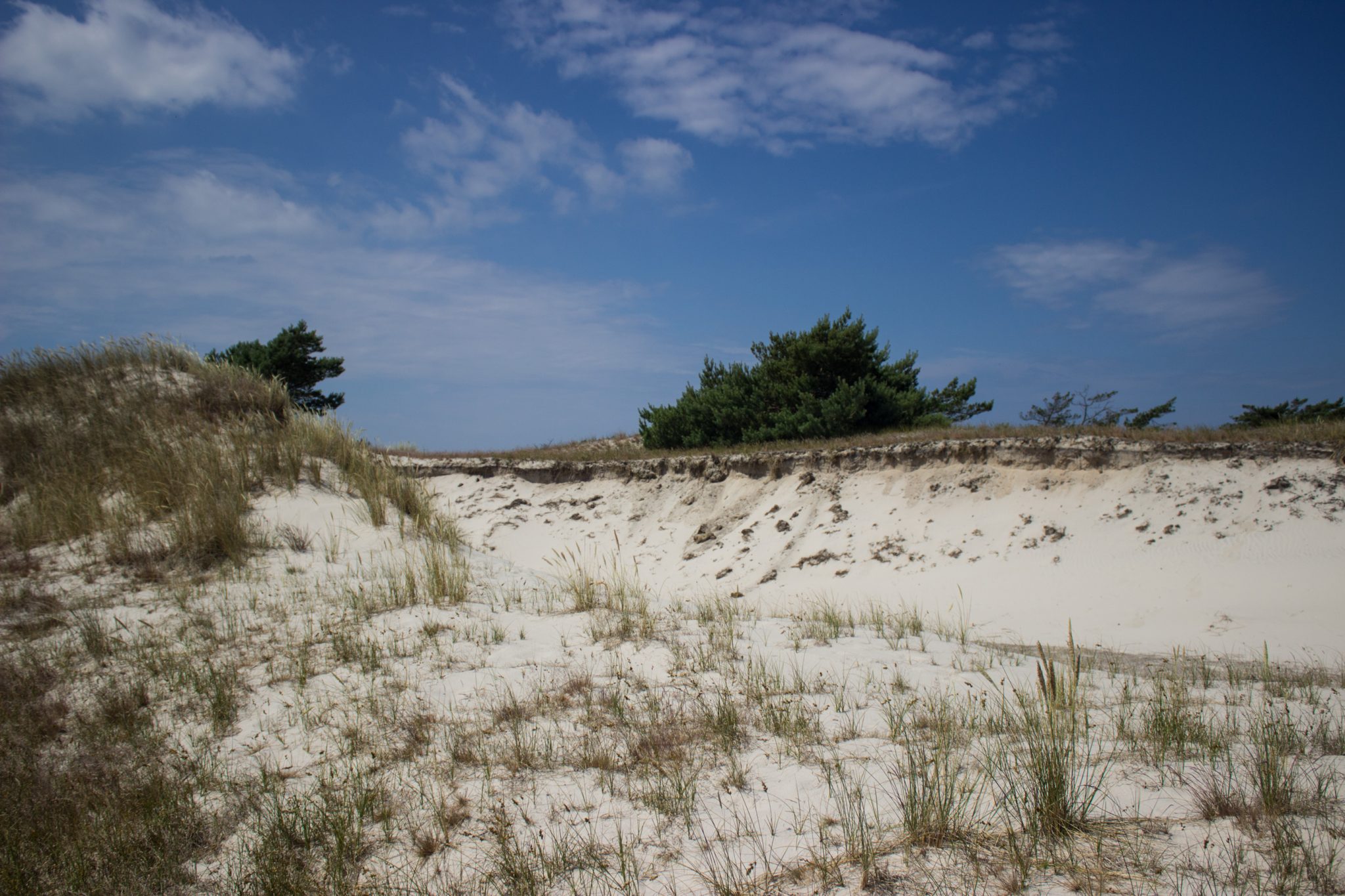 Rundwanderweg Darßer Ort zum Leuchtturm, auf der Halbinsel Darß an der Ostsee, Wanderung im Nationalpark Vorpommersche Boddenlandschaft, Wanderweg führt am langen Sandstrand und an Dünen entlang kurz vor Erreichen des Leuchtturms im Darßer Ort