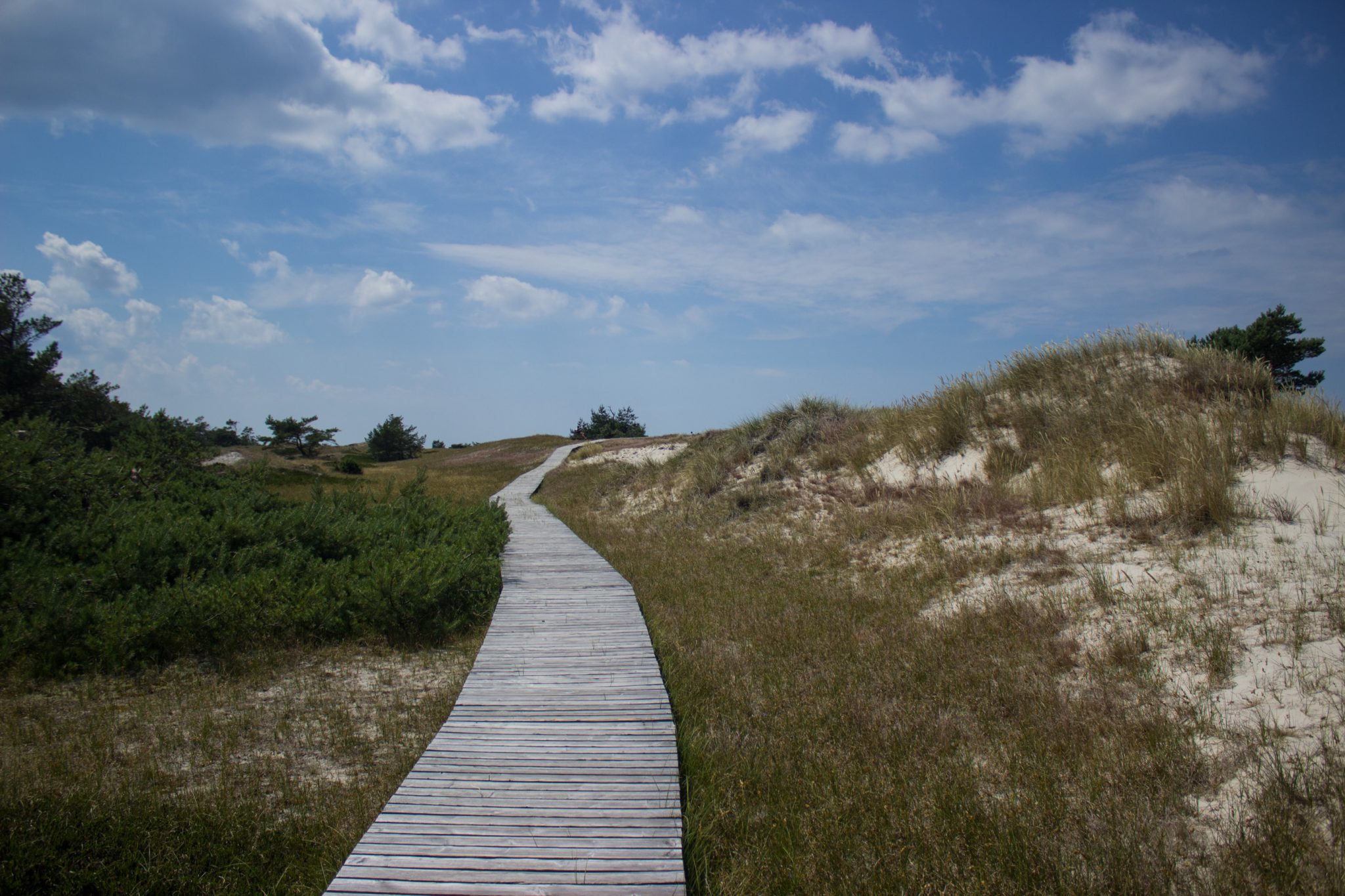 Rundwanderweg Darßer Ort zum Leuchtturm, auf der Halbinsel Darß an der Ostsee, Wanderung im Nationalpark Vorpommersche Boddenlandschaft, abwechslungsreicher Wanderweg, angelegter Wanderweg aus Holz zum Schutz der Tier- und Pflanzenwelt führt in Richtung des Strandes an der Ostsee, Blick auf Düne