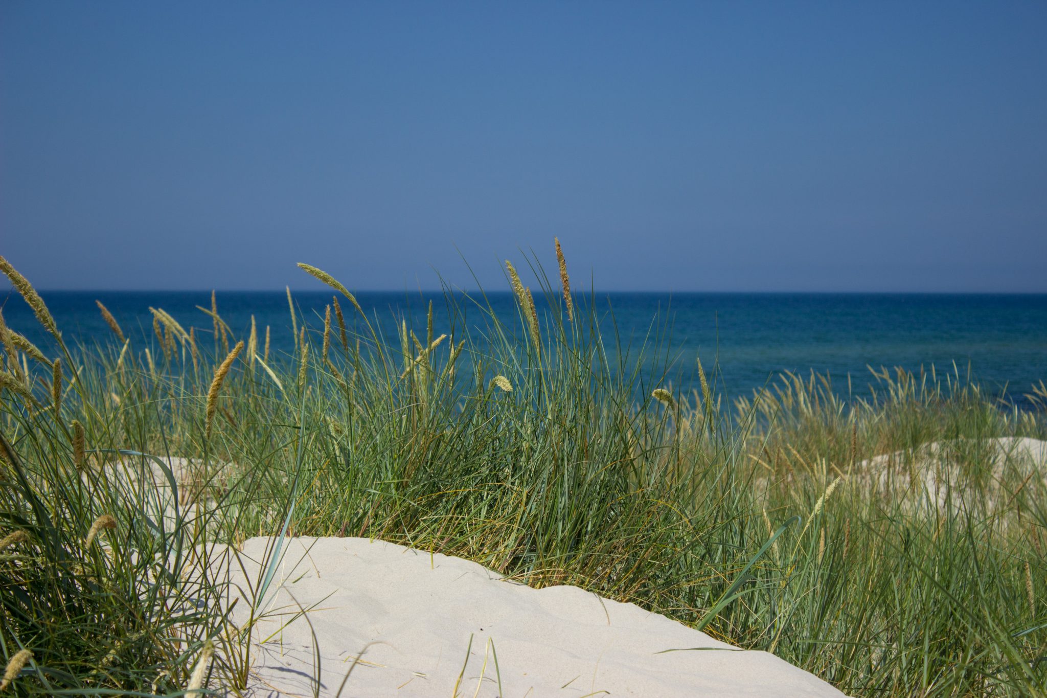 Rundwanderweg Darßer Ort zum Leuchtturm, auf der Halbinsel Darß an der Ostsee, Wanderung im Nationalpark Vorpommersche Boddenlandschaft, Wanderweg führt am langen Sandstrand und an Dünen entlang kurz vor Erreichen des Leuchtturms im Darßer Ort, Blick bei einer mit Gräsern bewachsenen Düne auf das Meer, weißer Sand und türkisblaues Meer