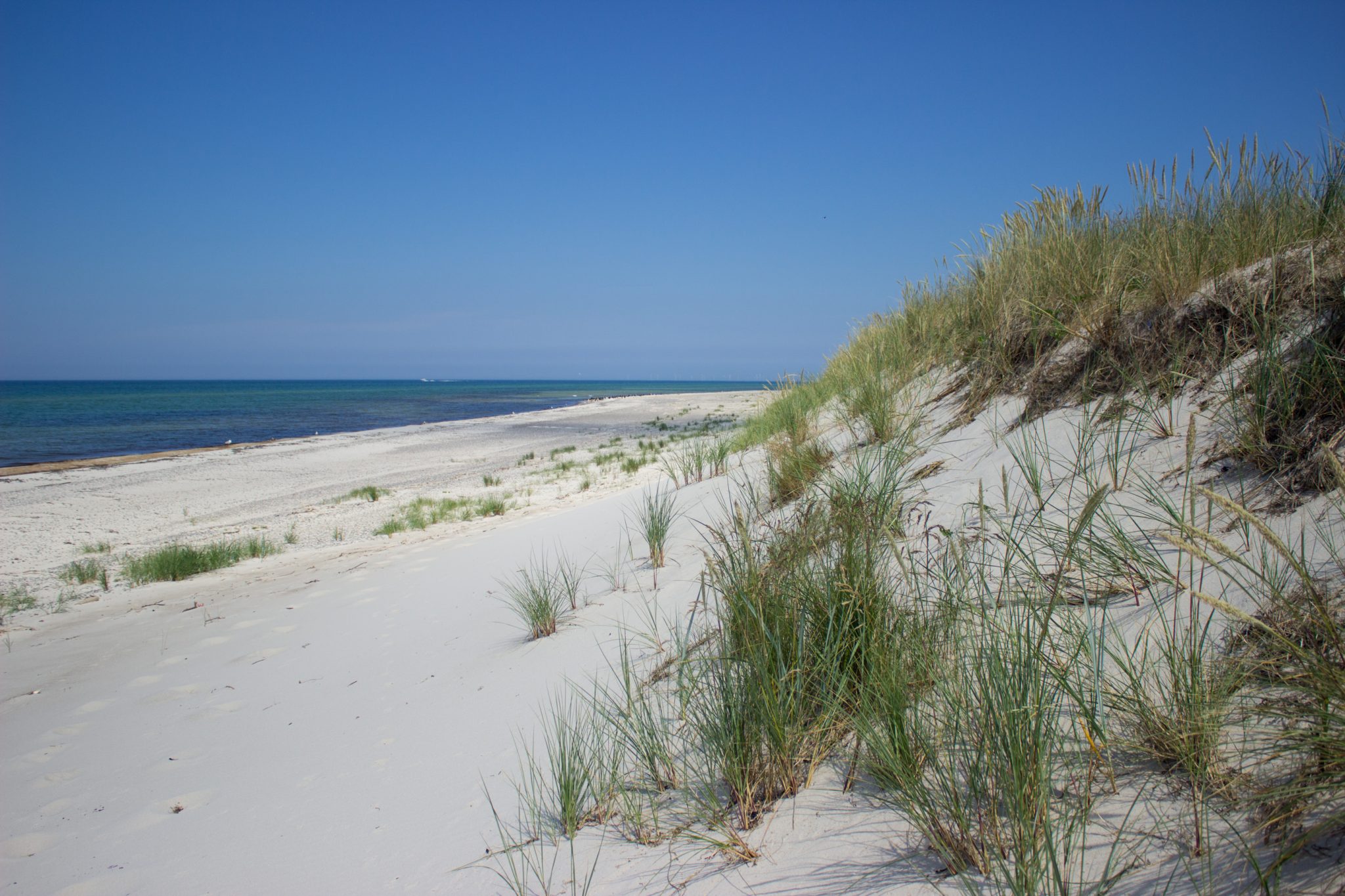 Rundwanderweg Darßer Ort zum Leuchtturm, auf der Halbinsel Darß an der Ostsee, Wanderung im Nationalpark Vorpommersche Boddenlandschaft, Wanderweg führt am langen Sandstrand und an Dünen entlang kurz vor Erreichen des Leuchtturms im Darßer Ort, weißer, langer Sandstrand und türkisblaues Meer, Blick bei einer mit Gräsern bewachsenen Düne auf das Meer