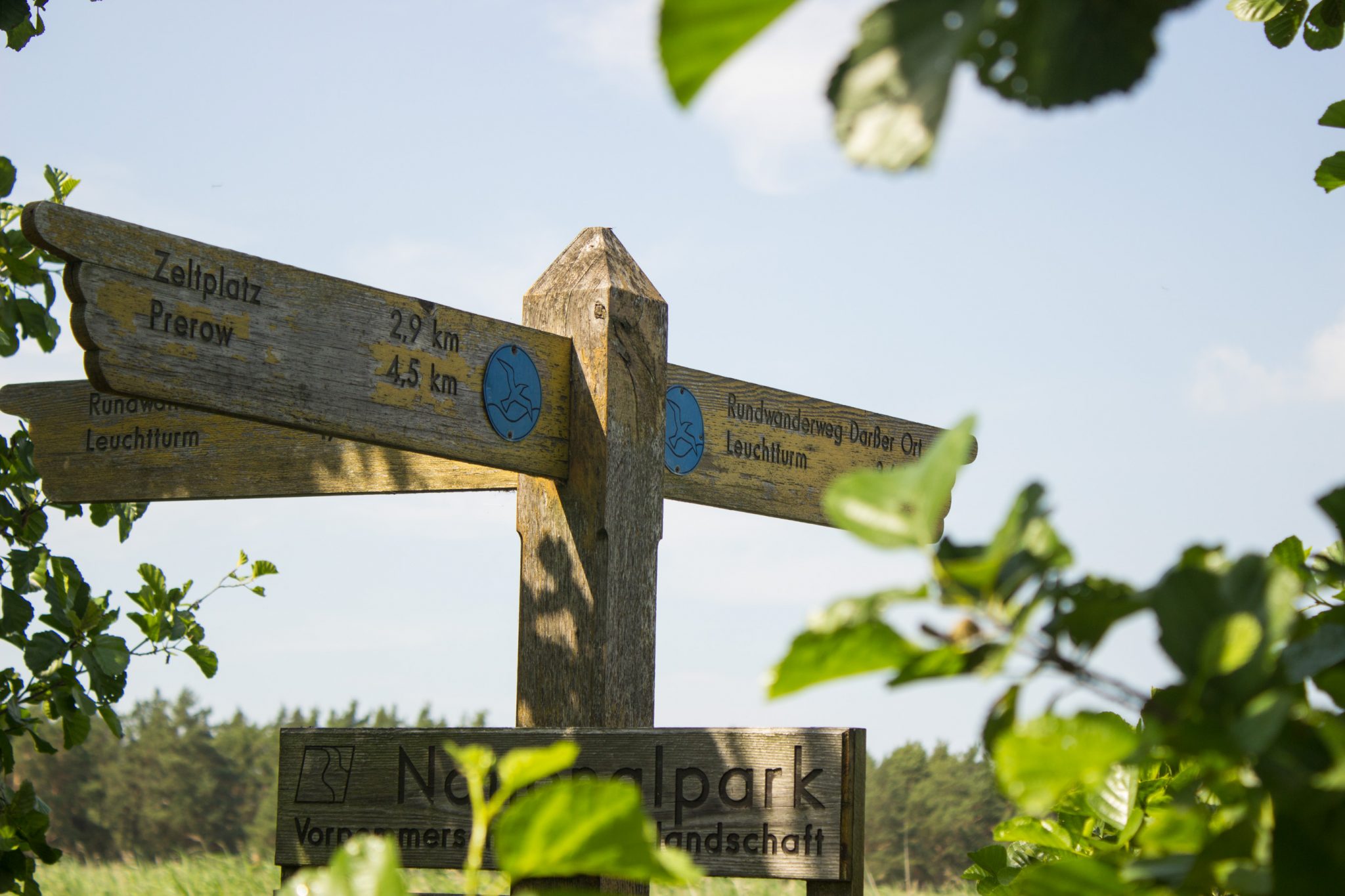 Rundwanderweg Darßer Ort zum Leuchtturm, auf der Halbinsel Darß an der Ostsee, Wanderung im Nationalpark Vorpommersche Boddenlandschaft, Beschilderung des Wanderwegs Rundweg Darßer Ort Leuchtturm und anderen Zielen auf der Darß Halbinsel im Nationalpark