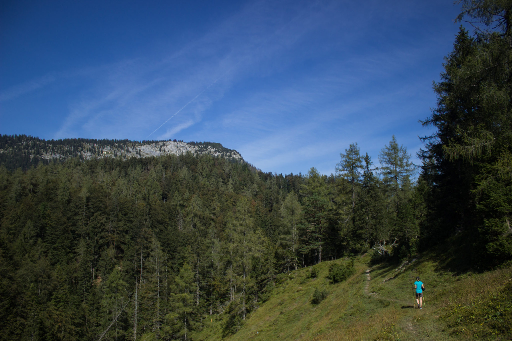 Wandern ab Haslersgatter zum Steyrsteg entlang des Flusses Krumme Steyrling, über Weingartalm und Brandlsteig im Nationalpark Kalkalpen in Oberösterreich, Wanderer unterwegs auf schmalem Pfad, umgeben von Natur