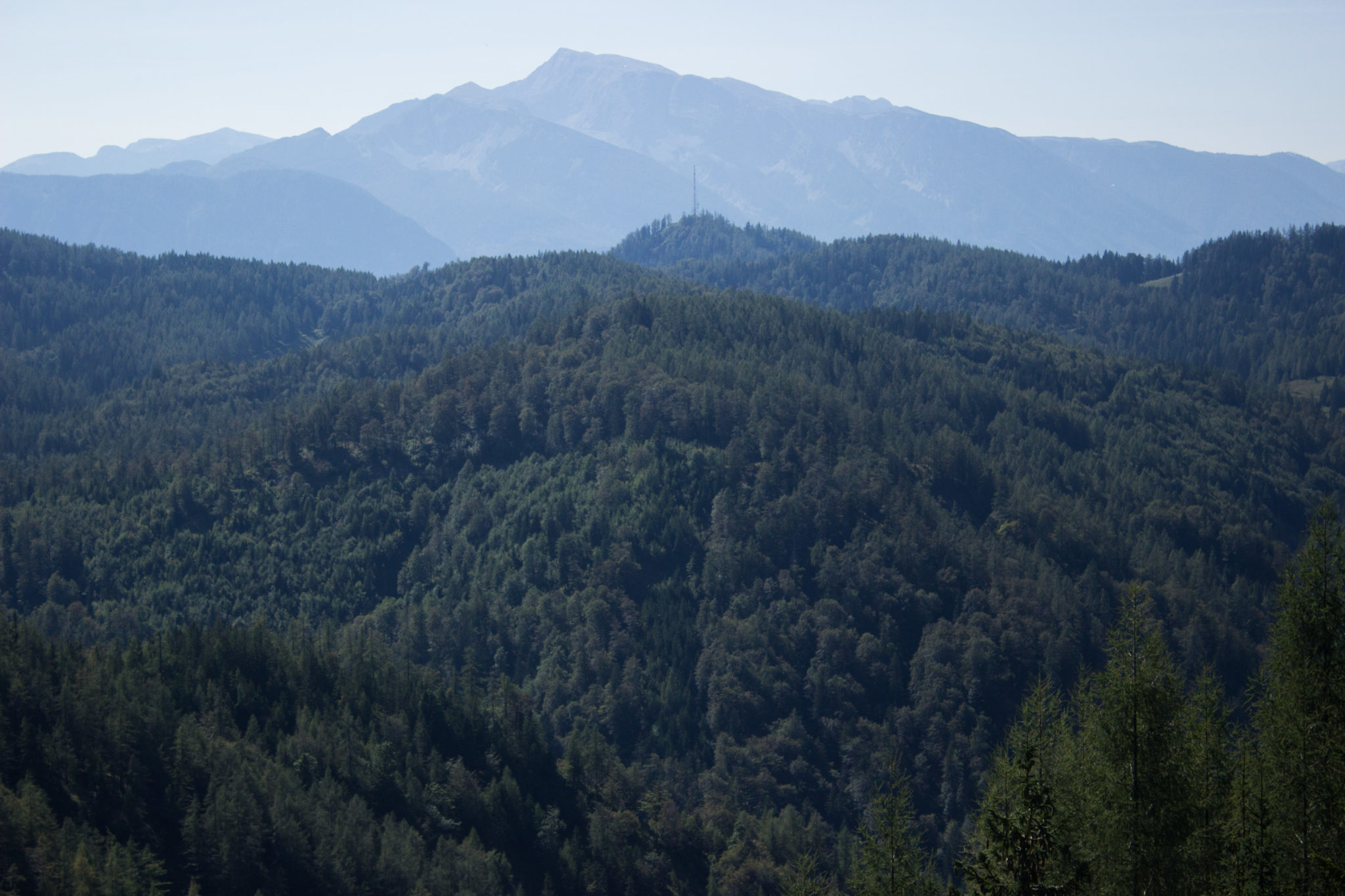 Wandern ab Haslersgatter zum Steyrsteg entlang des Flusses Krumme Steyrling, über Weingartalm und Brandlsteig im Nationalpark Kalkalpen in Oberösterreich, traumhafte Aussicht auf Berge und Wälder
