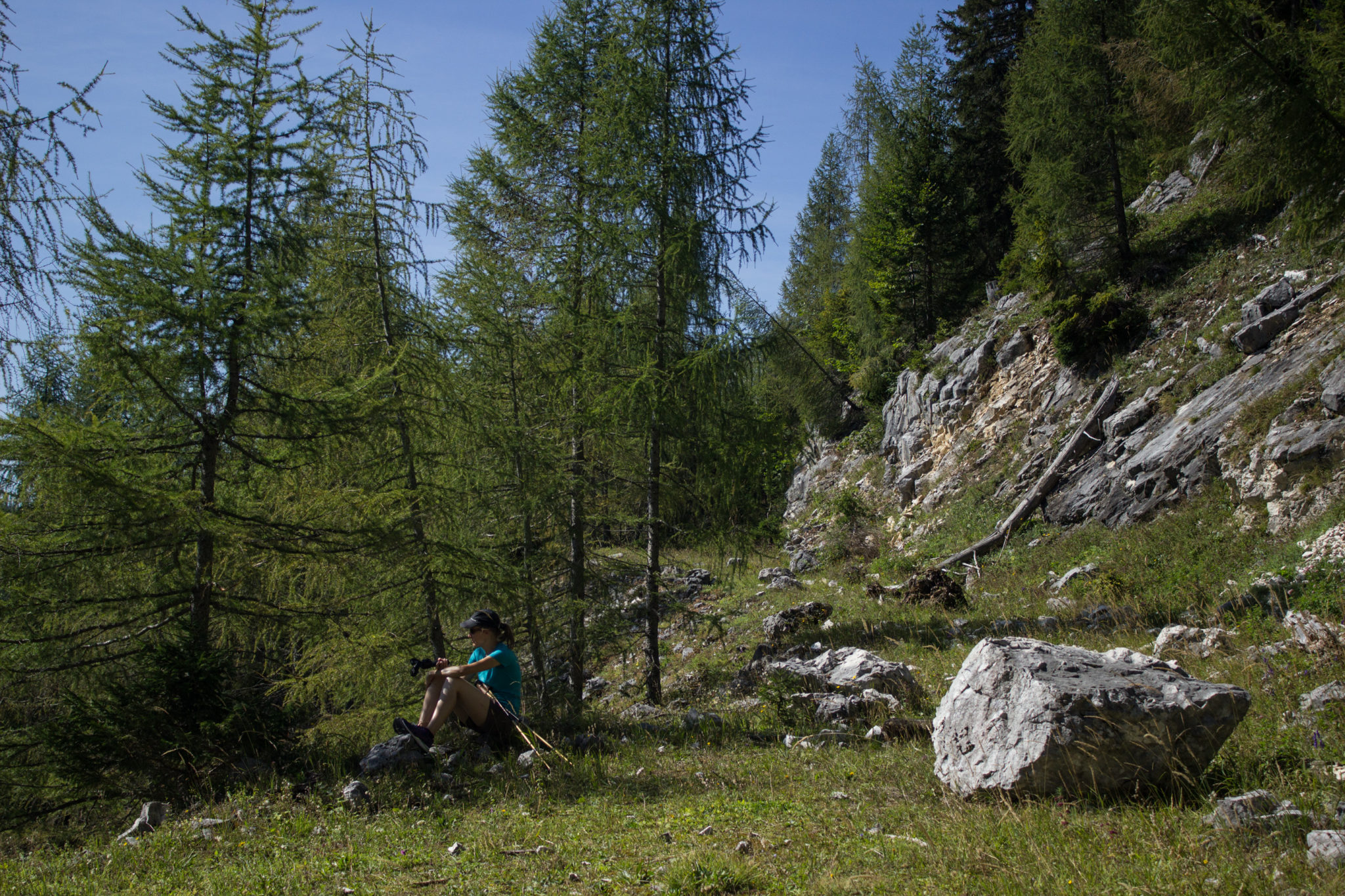 Wandern ab Haslersgatter zum Steyrsteg entlang des Flusses Krumme Steyrling, über Weingartalm und Brandlsteig im Nationalpark Kalkalpen in Oberösterreich, Wanderweg umgeben von Felsen, Bäume sind umgefallen und werden liegen gelassen im Nationalpark, große Felsbrocken auf Wanderweg Brandlsteig, Wanderer macht Pause im Schatten