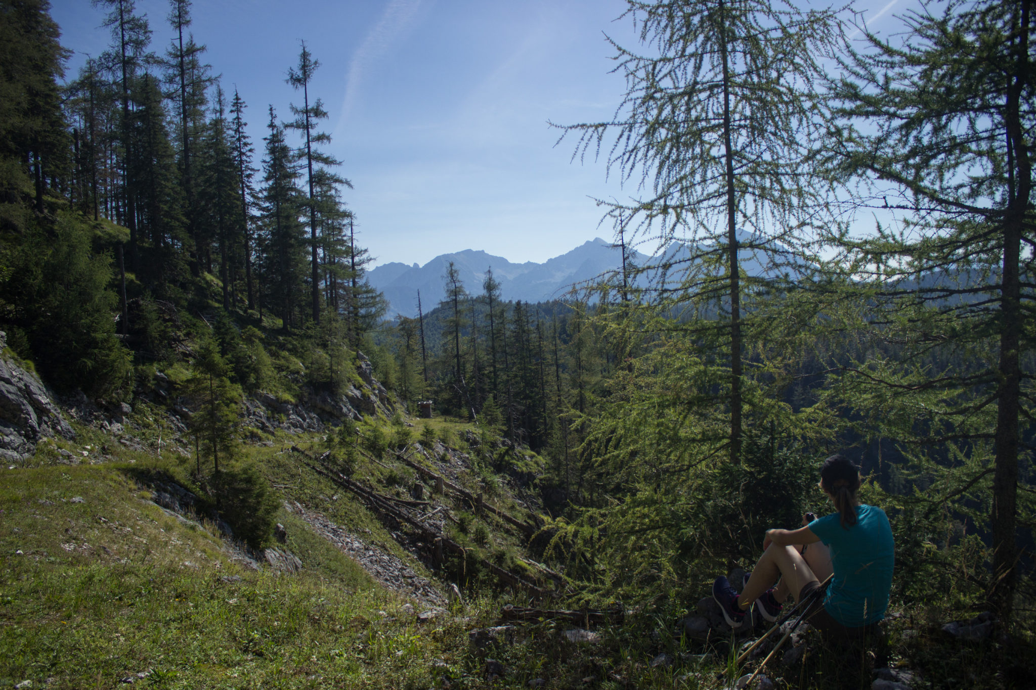Wandern ab Haslersgatter zum Steyrsteg entlang des Flusses Krumme Steyrling, über Weingartalm und Brandlsteig im Nationalpark Kalkalpen in Oberösterreich, Wanderweg umgeben von Felsen, Bäume sind umgefallen und werden liegen gelassen im Nationalpark, Wanderer macht Pause im Schatten und genießt die Aussicht auf Berge und Wälder