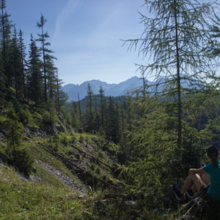 Wandern ab Haslersgatter zum Steyrsteg entlang des Flusses Krumme Steyrling, über Weingartalm und Brandlsteig im Nationalpark Kalkalpen in Oberösterreich, Wanderweg umgeben von Felsen, Bäume sind umgefallen und werden liegen gelassen im Nationalpark, Wanderer macht Pause im Schatten und genießt die Aussicht auf Berge und Wälder