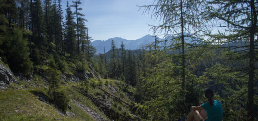 Wandern ab Haslersgatter zum Steyrsteg entlang des Flusses Krumme Steyrling, über Weingartalm und Brandlsteig im Nationalpark Kalkalpen in Oberösterreich, Wanderweg umgeben von Felsen, Bäume sind umgefallen und werden liegen gelassen im Nationalpark, Wanderer macht Pause im Schatten und genießt die Aussicht auf Berge und Wälder