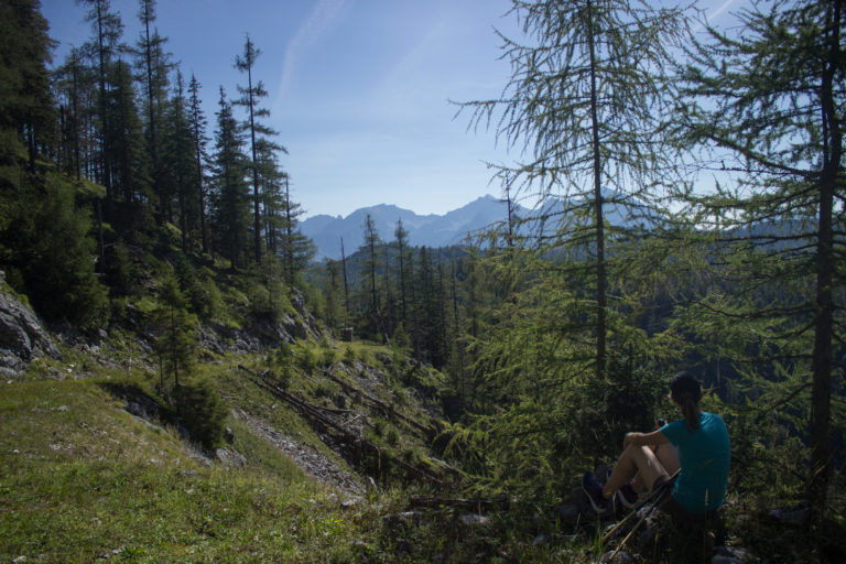 Wandern ab Haslersgatter zum Steyrsteg entlang des Flusses Krumme Steyrling, über Weingartalm und Brandlsteig im Nationalpark Kalkalpen in Oberösterreich, Wanderweg umgeben von Felsen, Bäume sind umgefallen und werden liegen gelassen im Nationalpark, Wanderer macht Pause im Schatten und genießt die Aussicht auf Berge und Wälder