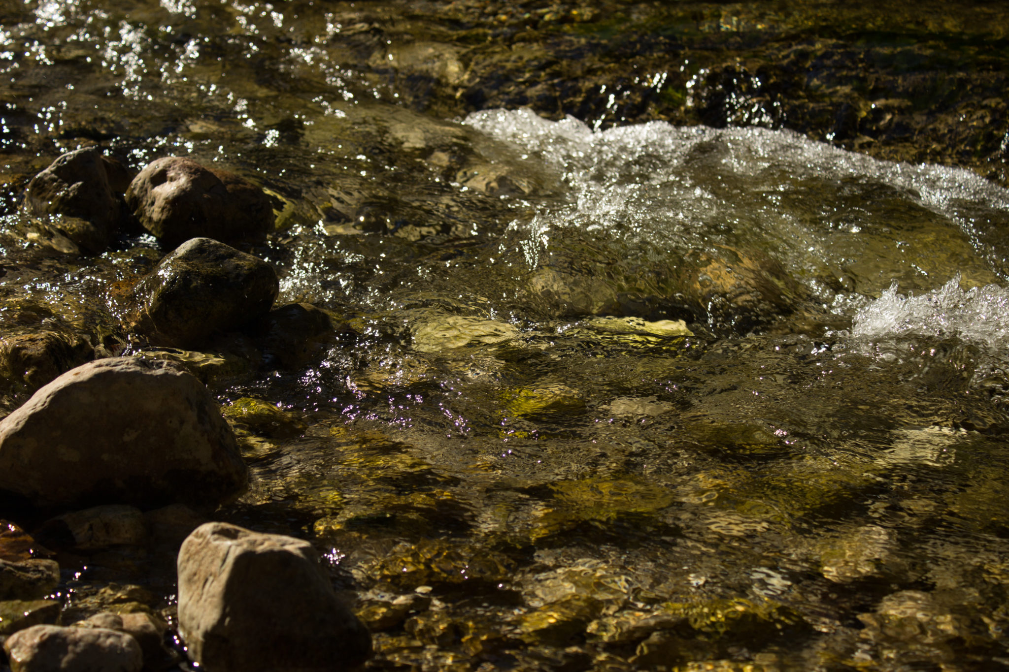Wandern ab Haslersgatter zum Steyrsteg entlang des Flusses Krumme Steyrling, über Weingartalm und Brandlsteig im Nationalpark Kalkalpen in Oberösterreich, klares Wasser des Flusses Krumme Steyrling