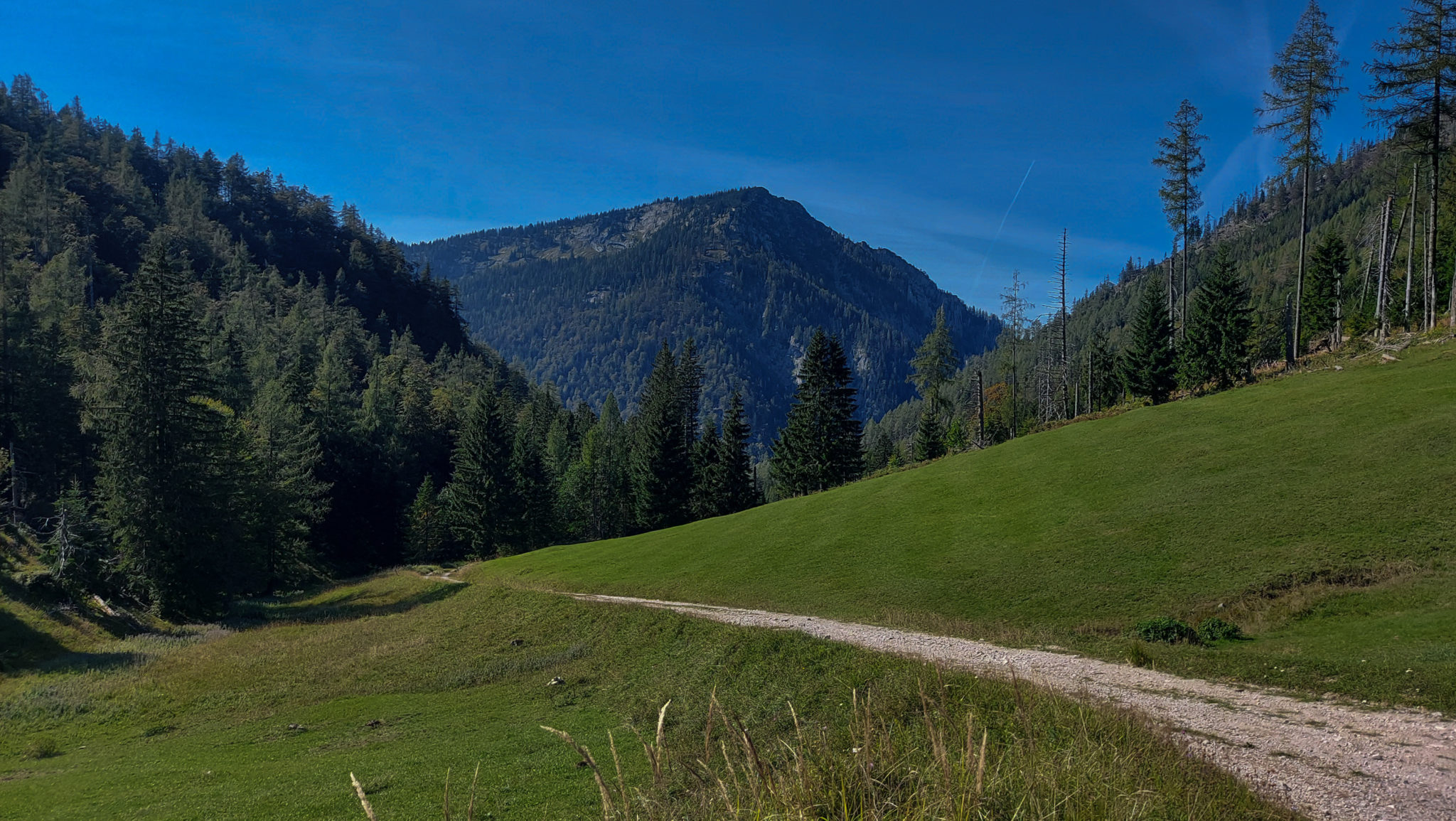 Wandern ab Haslersgatter zum Steyrsteg entlang des Flusses Krumme Steyrling, über Weingartalm und Brandlsteig im Nationalpark Kalkalpen in Oberösterreich, Kieselwanderweg, weite Aussicht auf die Berge und Wälder im Nationalpark