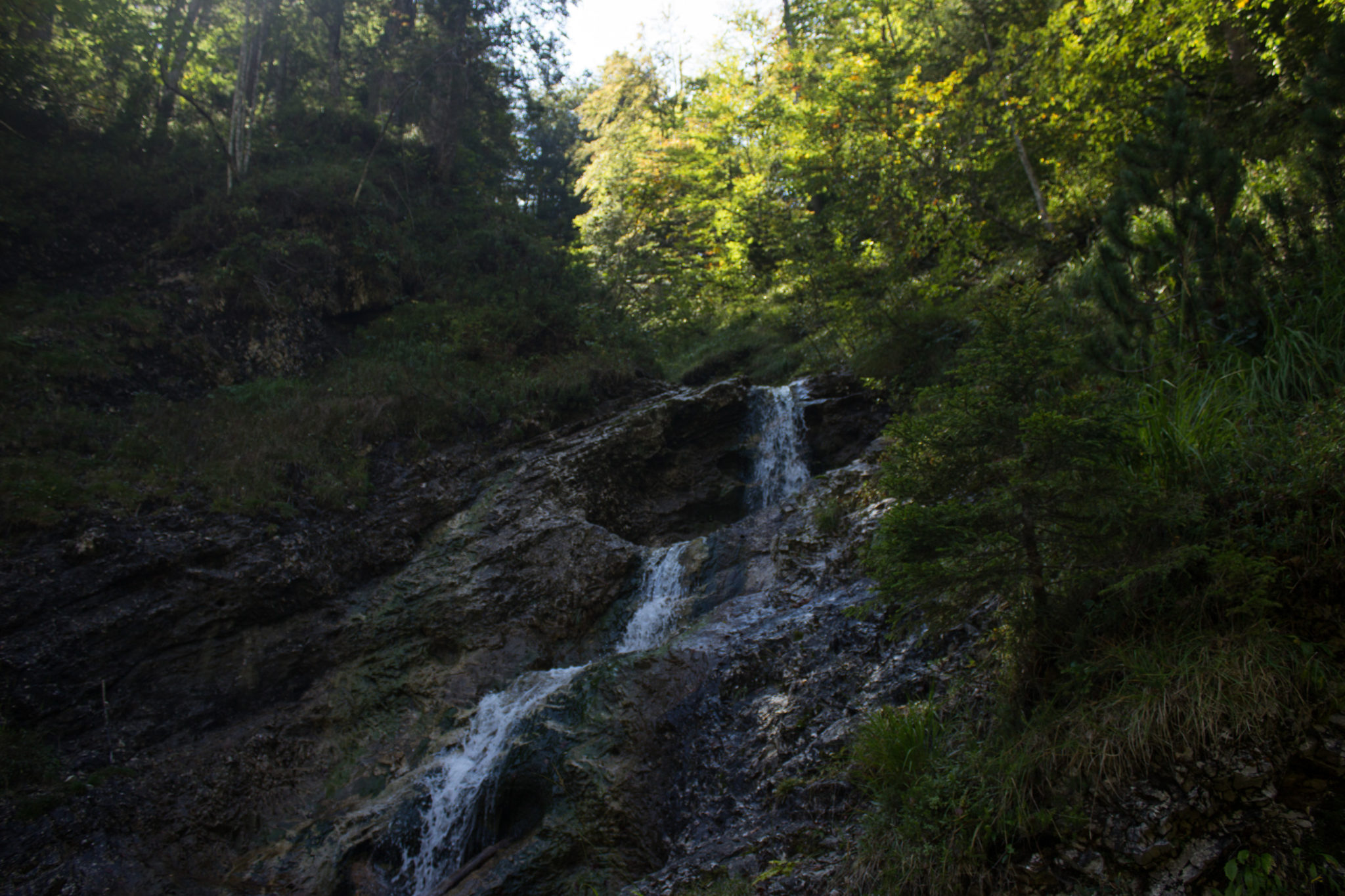 Wandern ab Haslersgatter zum Steyrsteg entlang des Flusses Krumme Steyrling, über Weingartalm und Brandlsteig im Nationalpark Kalkalpen in Oberösterreich, kleiner Wasserfall umringt von schönem Wald