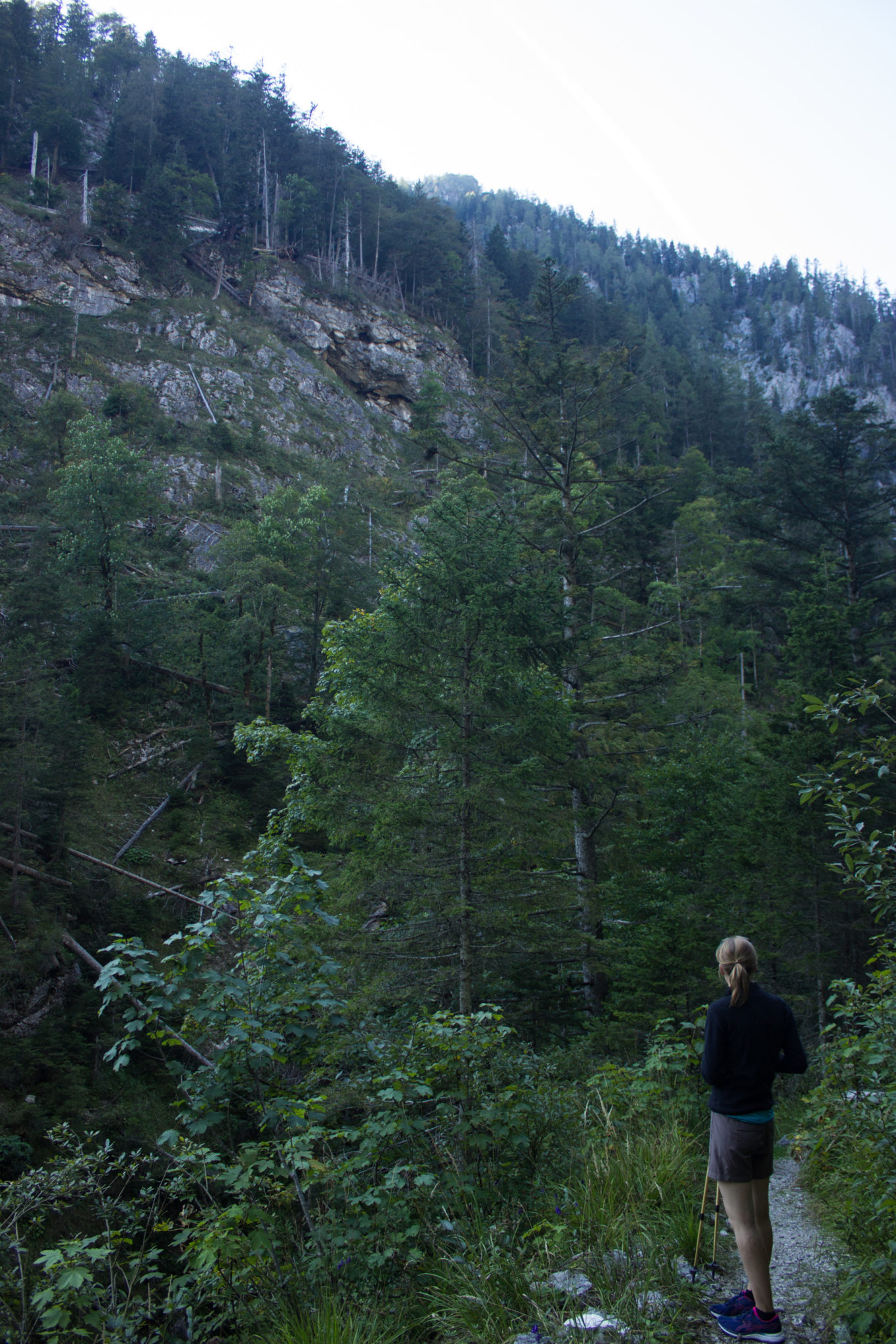 Wandern ab Haslersgatter zum Steyrsteg entlang des Flusses Krumme Steyrling, über Weingartalm und Brandlsteig im Nationalpark Kalkalpen in Oberösterreich, Wanderer unterwegs auf dem Steyrsteg, schmaler, sehr schöner Wanderweg, umgeben von dichtem Wald und Bergwelt