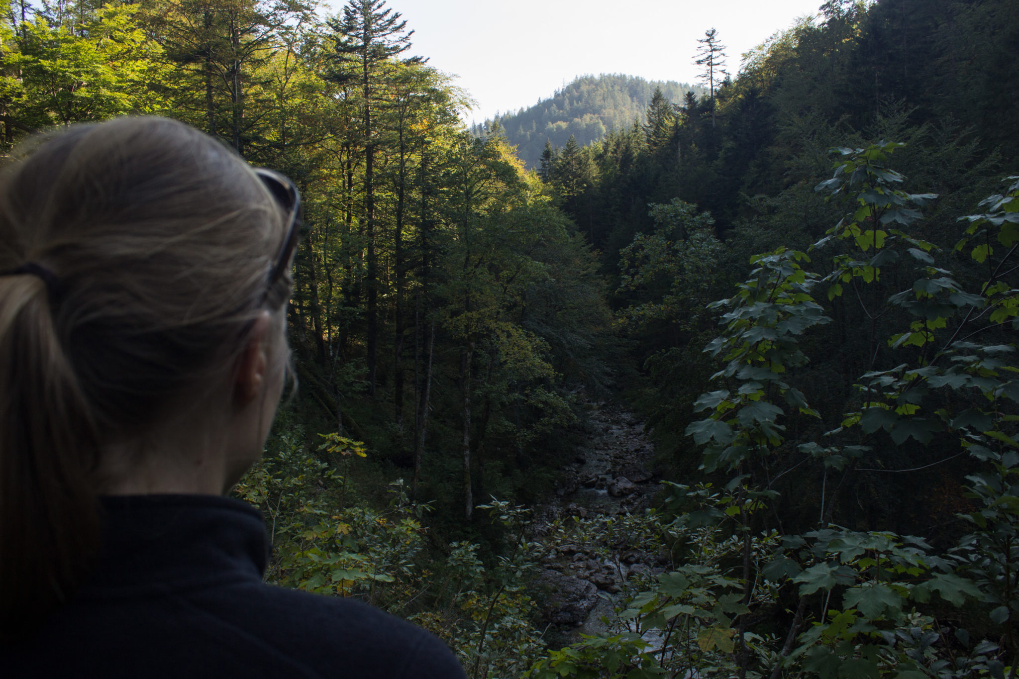 Wandern ab Haslersgatter zum Steyrsteg entlang des Flusses Krumme Steyrling, über Weingartalm und Brandlsteig im Nationalpark Kalkalpen in Oberösterreich, Wanderer unterwegs auf dem Steyrsteg, schmaler, sehr schöner Wanderweg, Aussicht auf den Fluss Krumme Steyrling, umgeben von dichtem Wald und Bergwelt