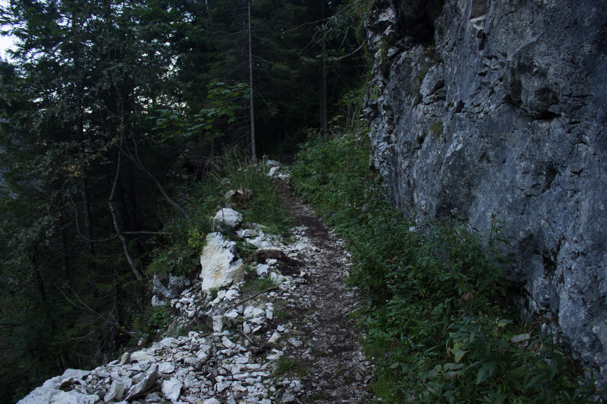 Wandern ab Haslersgatter zum Steyrsteg entlang des Flusses Krumme Steyrling, über Weingartalm und Brandlsteig im Nationalpark Kalkalpen in Oberösterreich, unterwegs auf dem Steyrsteg entlang des Flusses Krumme Steyrling, schmaler, sehr schöner Wanderweg, umgeben von dichtem Wald und Bergwelt