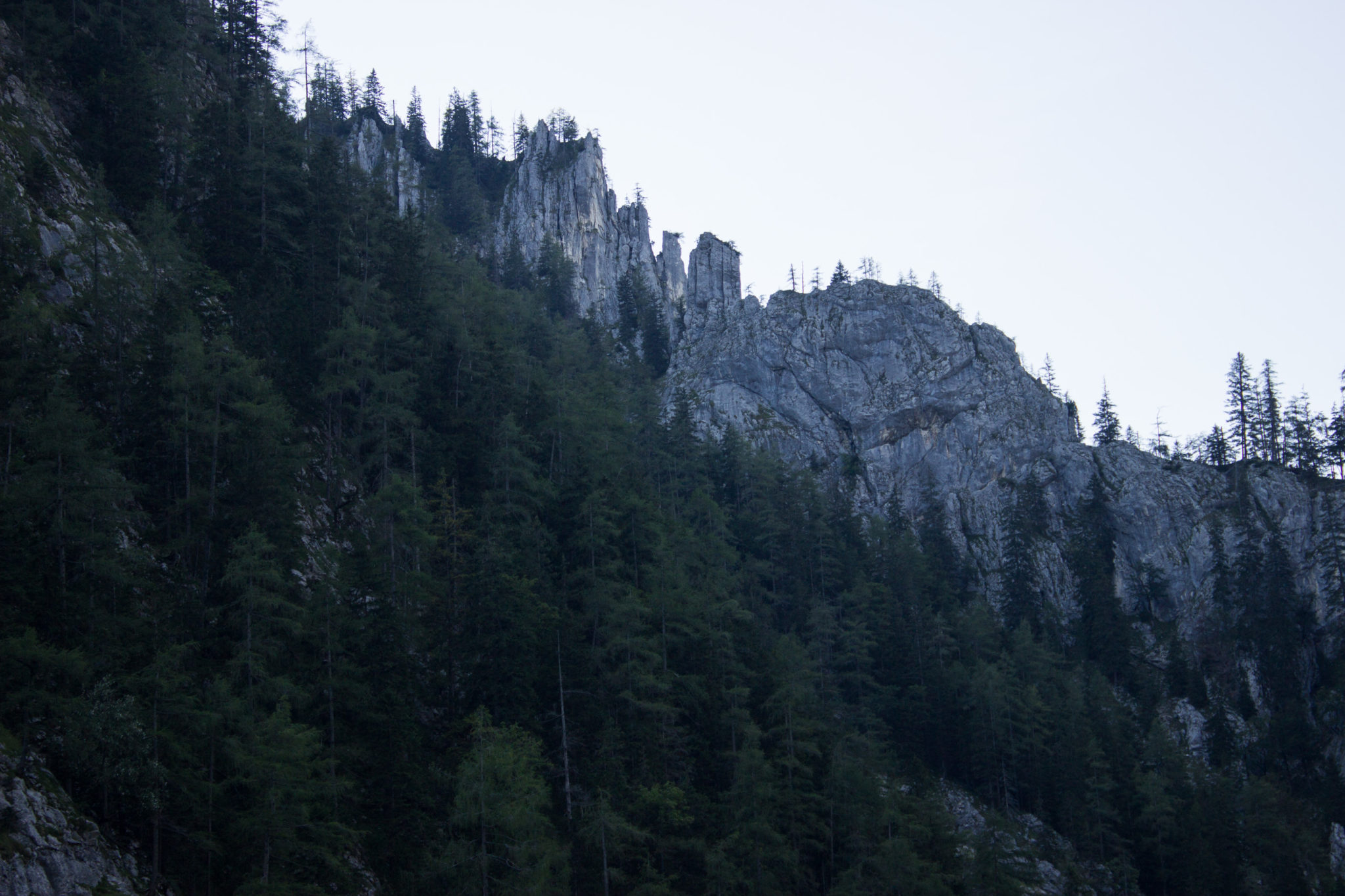Wandern ab Haslersgatter zum Steyrsteg entlang des Flusses Krumme Steyrling, über Weingartalm und Brandlsteig im Nationalpark Kalkalpen in Oberösterreich, unterwegs auf dem Steyrsteg entlang des Flusses Krumme Steyrling, schmaler, Ausblick auf dichten Wald und Bergmassiv