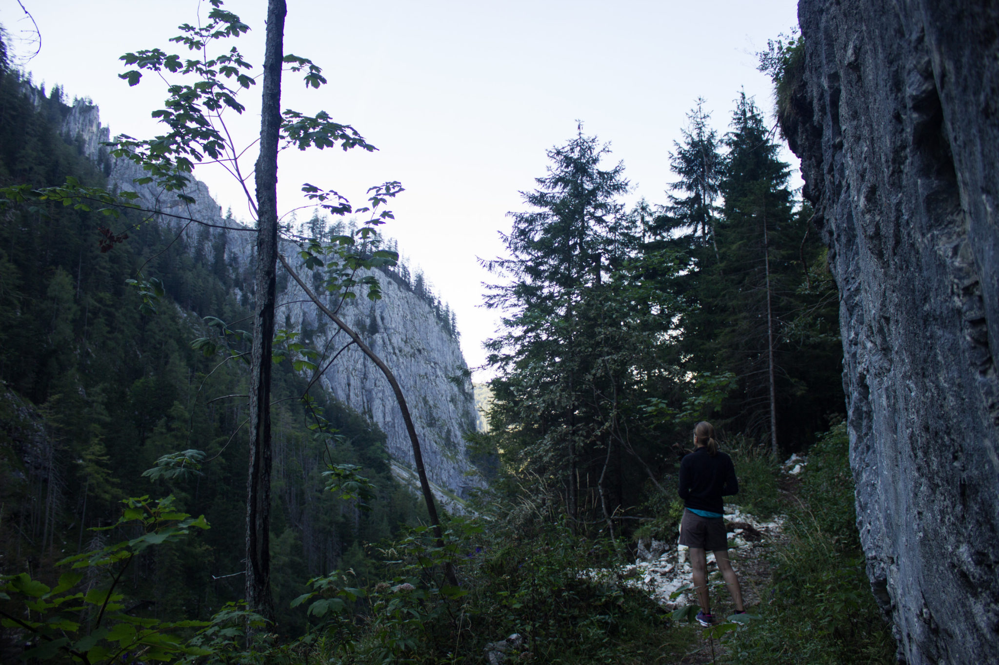 Wandern ab Haslersgatter zum Steyrsteg entlang des Flusses Krumme Steyrling, über Weingartalm und Brandlsteig im Nationalpark Kalkalpen in Oberösterreich, Wanderer unterwegs auf dem Steyrsteg entlang des Flusses Krumme Steyrling, schmaler, sehr schöner Wanderweg, umgeben von Fels, dichtem Wald und den Bergen