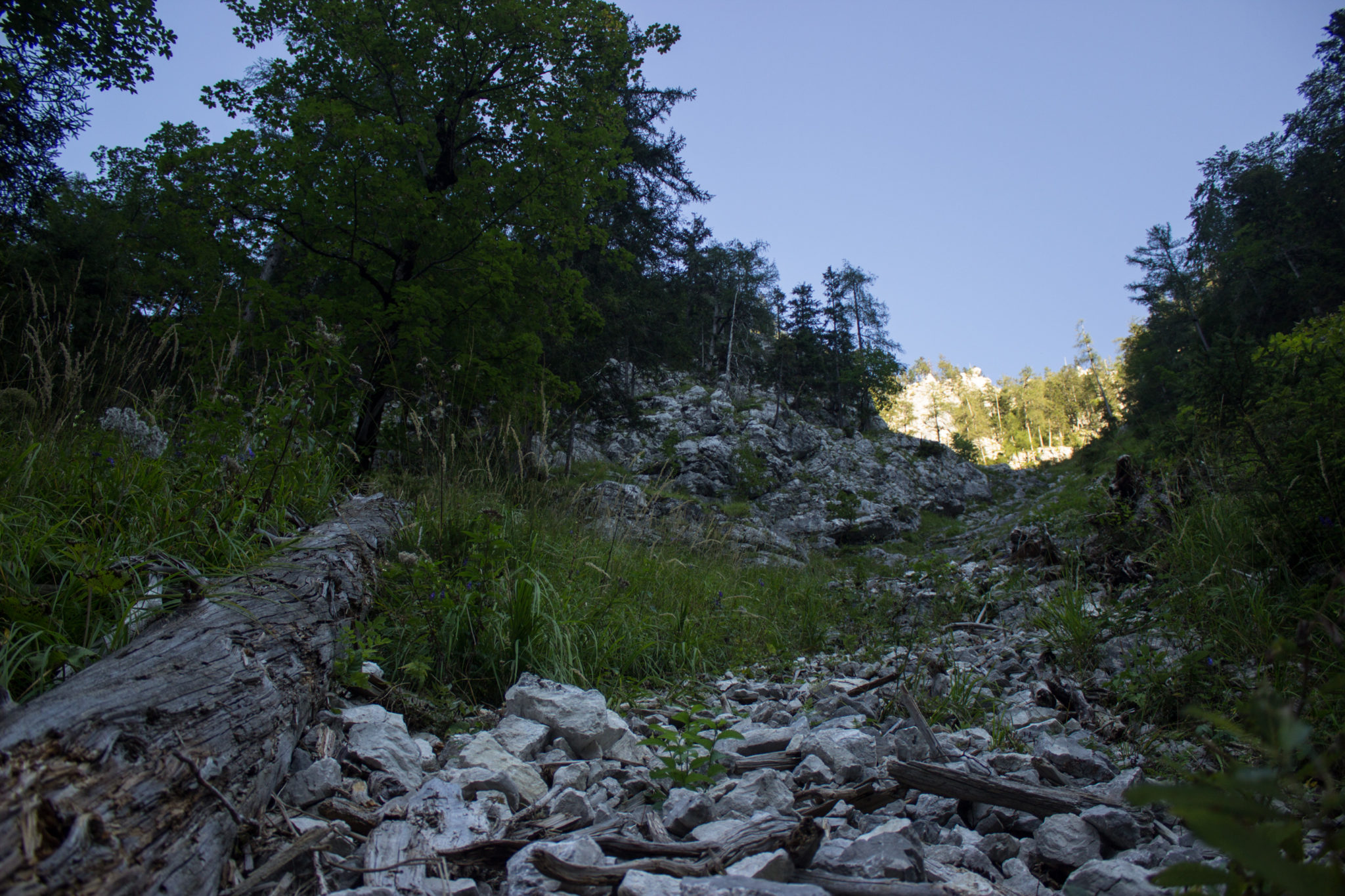 Wandern ab Haslersgatter zum Steyrsteg entlang des Flusses Krumme Steyrling, über Weingartalm und Brandlsteig im Nationalpark Kalkalpen in Oberösterreich, Blick auf schönen, steinigen Wanderweg