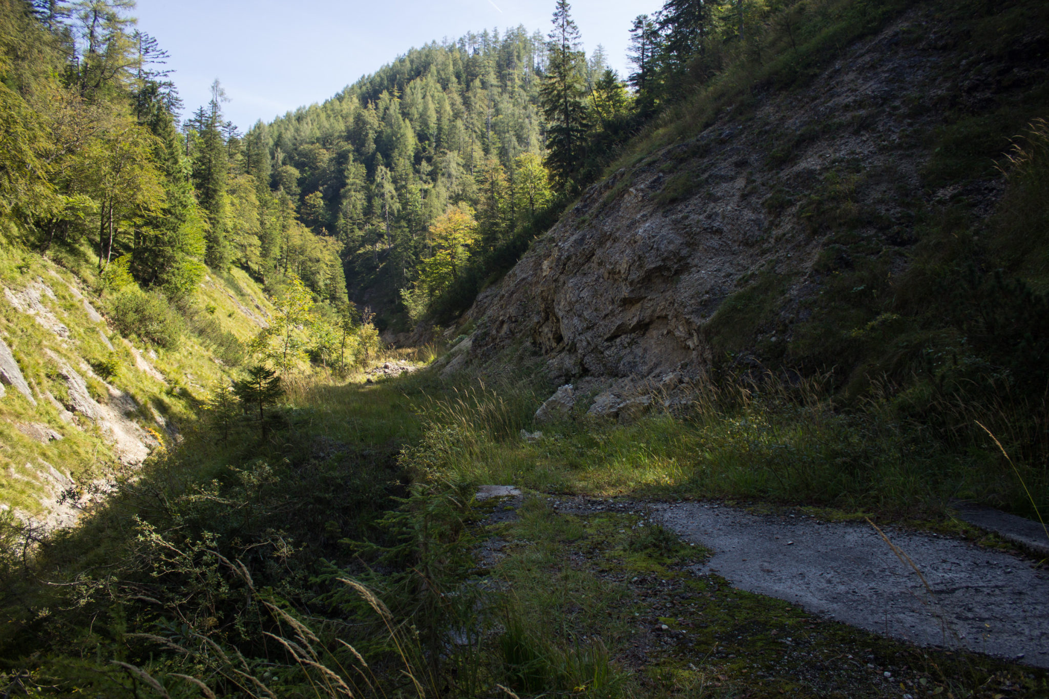 Wandern ab Haslersgatter zum Steyrsteg entlang des Flusses Krumme Steyrling, über Weingartalm und Brandlsteig im Nationalpark Kalkalpen in Oberösterreich, schmaler Wanderweg umgeben von Felsen