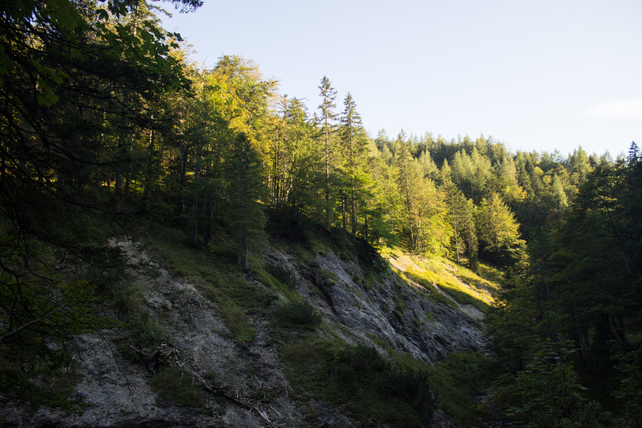 Wandern ab Haslersgatter zum Steyrsteg entlang des Flusses Krumme Steyrling, über Weingartalm und Brandlsteig im Nationalpark Kalkalpen in Oberösterreich, umgeben von dichtem Wald und Felsen