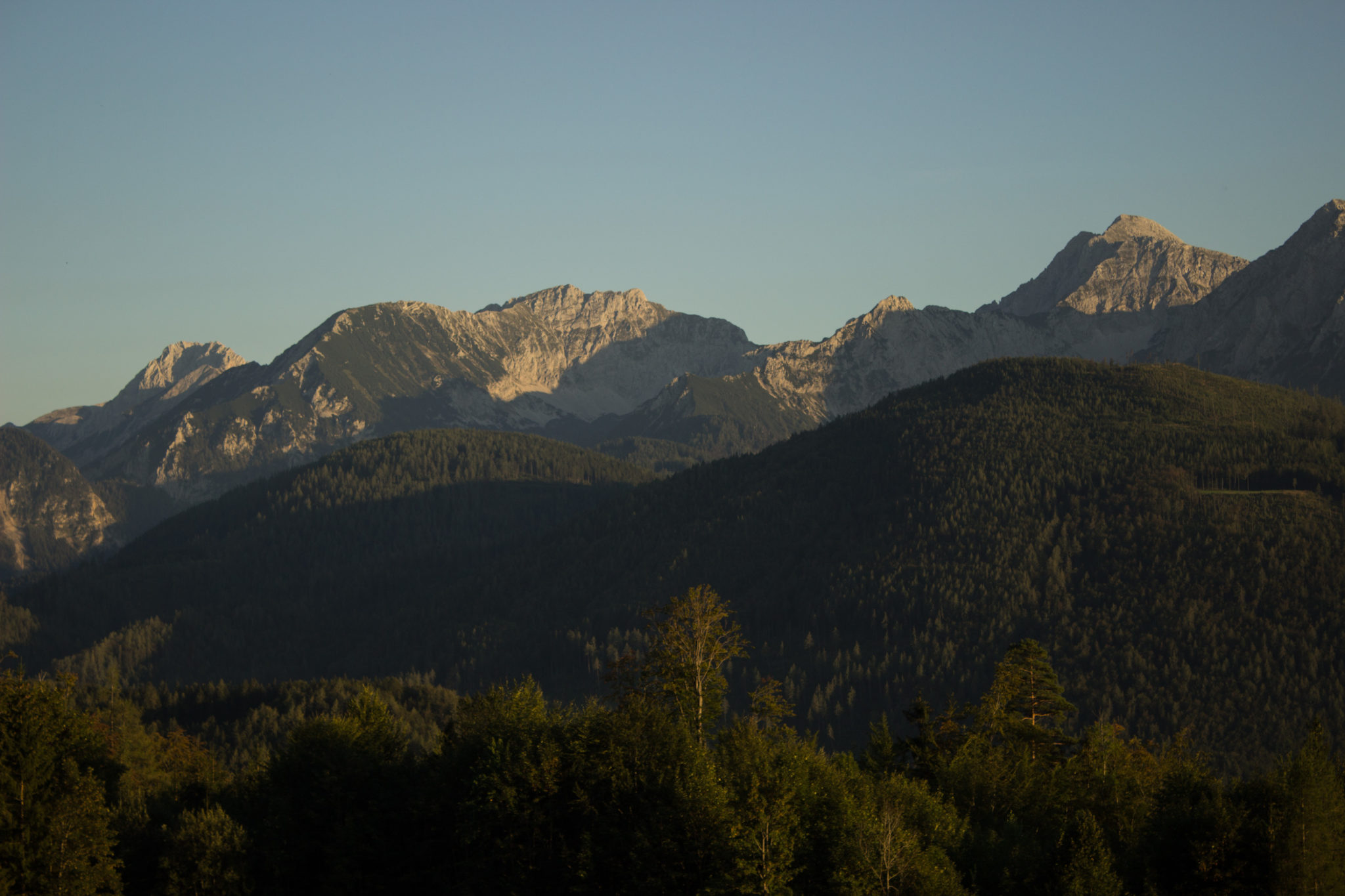 Wandern ab Haslersgatter zum Steyrsteg entlang des Flusses Krumme Steyrling, über Weingartalm und Brandlsteig im Nationalpark Kalkalpen in Oberösterreich, traumhafte Aussicht auf dichten Wald und die Berge in Österreich, kurz vor Sonnenuntergang, sehr schönes Licht