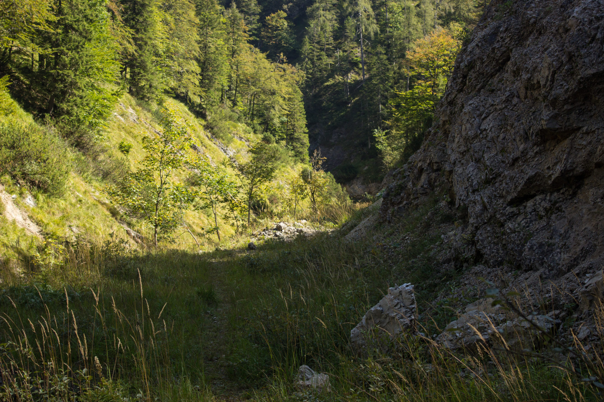 Wandern ab Haslersgatter zum Steyrsteg entlang des Flusses Krumme Steyrling, über Weingartalm und Brandlsteig im Nationalpark Kalkalpen in Oberösterreich, schmaler Wanderweg umgeben von Felsen