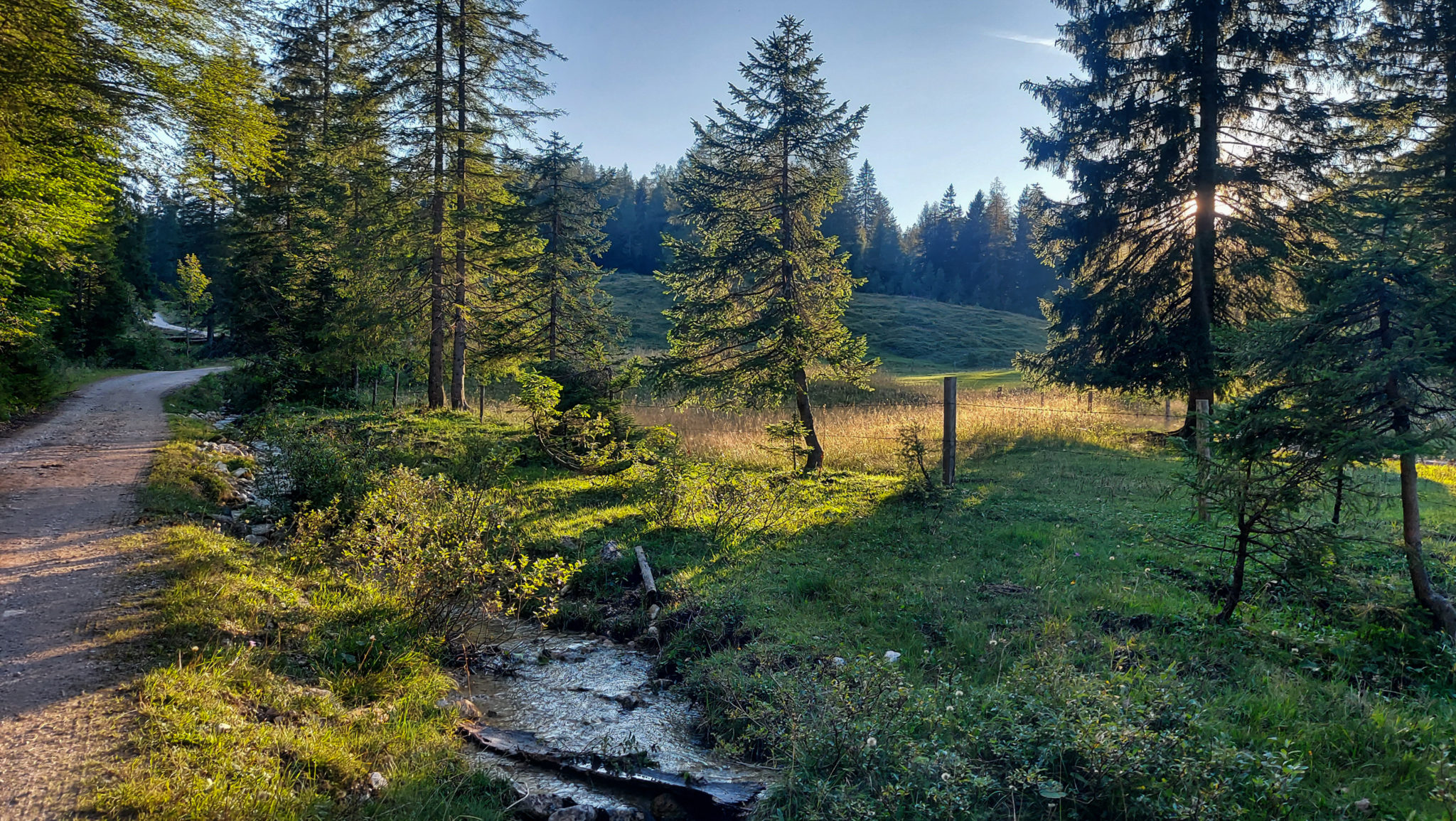 Wandern ab Haslersgatter zum Steyrsteg entlang des Flusses Krumme Steyrling, über Weingartalm und Brandlsteig im Nationalpark Kalkalpen in Oberösterreich, unterwegs auf breiterem Wanderweg zurück zum Parkplatz Haslersgatter, Wegverlauf entlang eines kleinen Baches, schönes Licht durch untergehende Sonne