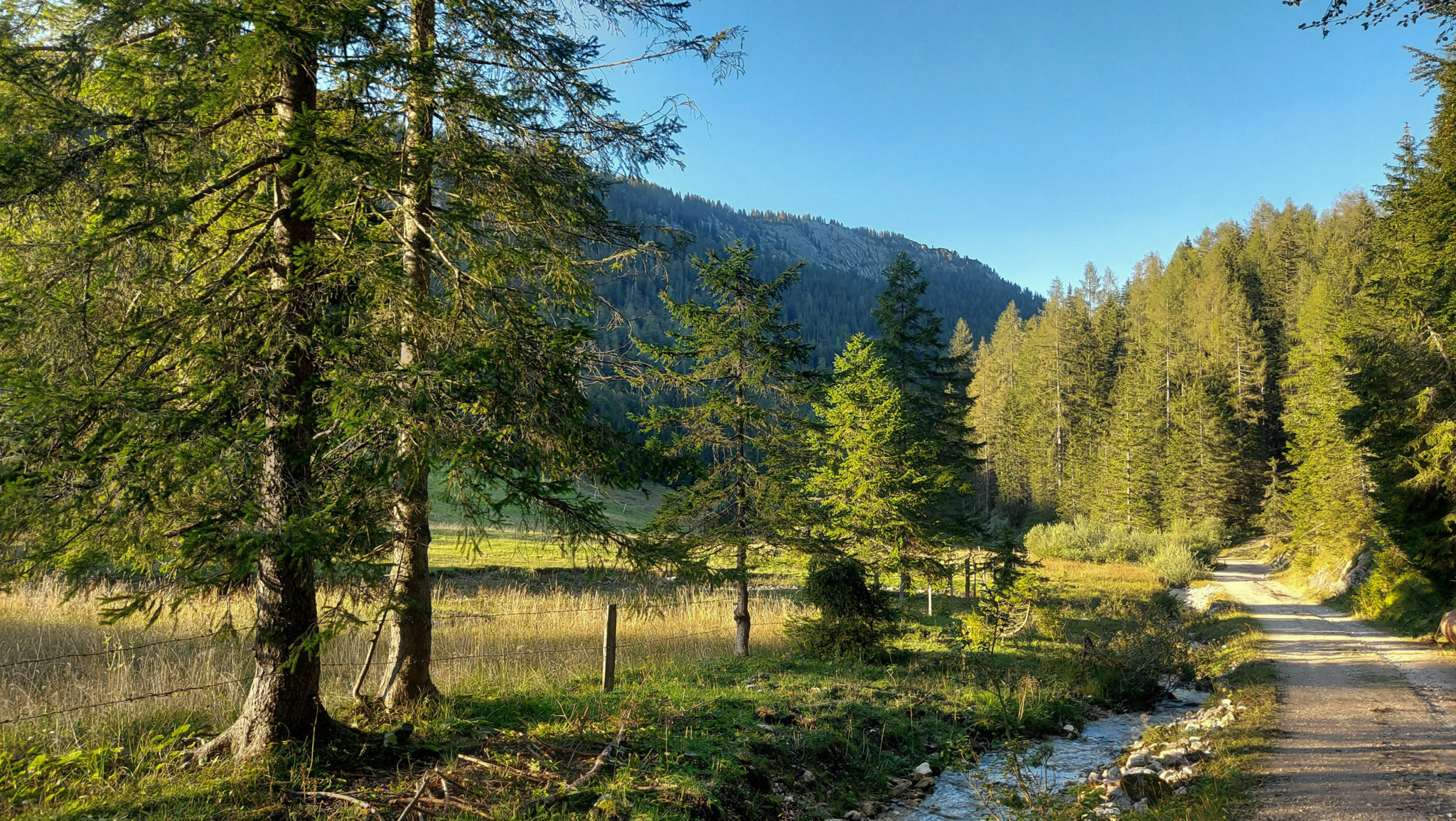 Wandern ab Haslersgatter zum Steyrsteg entlang des Flusses Krumme Steyrling, über Weingartalm und Brandlsteig im Nationalpark Kalkalpen in Oberösterreich, unterwegs auf breiterem Wanderweg zurück zum Parkplatz Haslersgatter, Wegverlauf entlang eines kleinen Baches, schönes Licht durch untergehende Sonne