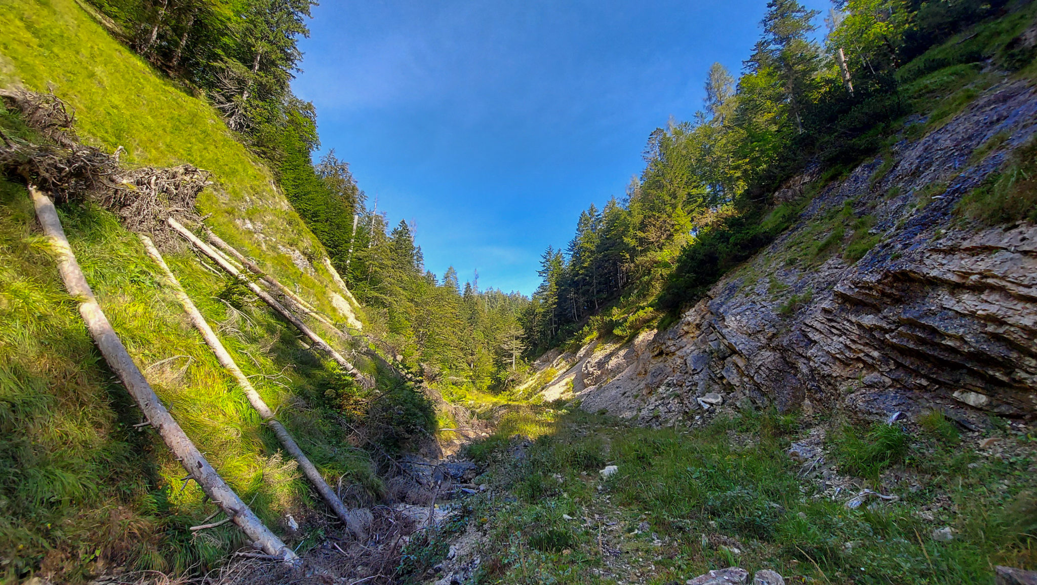 Wandern ab Haslersgatter zum Steyrsteg entlang des Flusses Krumme Steyrling, über Weingartalm und Brandlsteig im Nationalpark Kalkalpen in Oberösterreich, schmaler Wanderweg umgeben von Felsen, Bäume sind umgefallen und werden liegen gelassen im Nationalpark