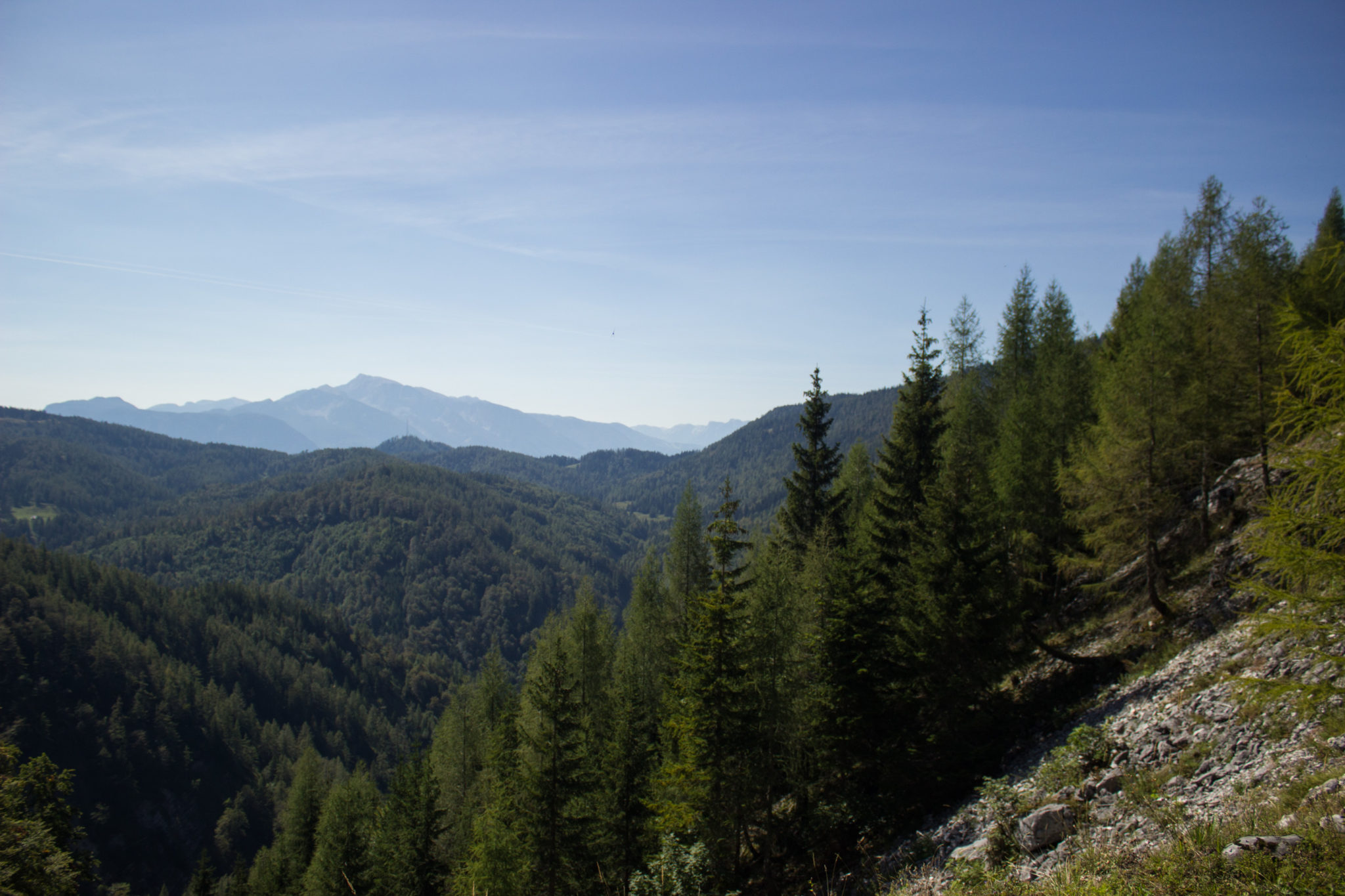 Wandern ab Haslersgatter zum Steyrsteg entlang des Flusses Krumme Steyrling, über Weingartalm und Brandlsteig im Nationalpark Kalkalpen in Oberösterreich, traumhafte Aussicht auf Berge und Wälder