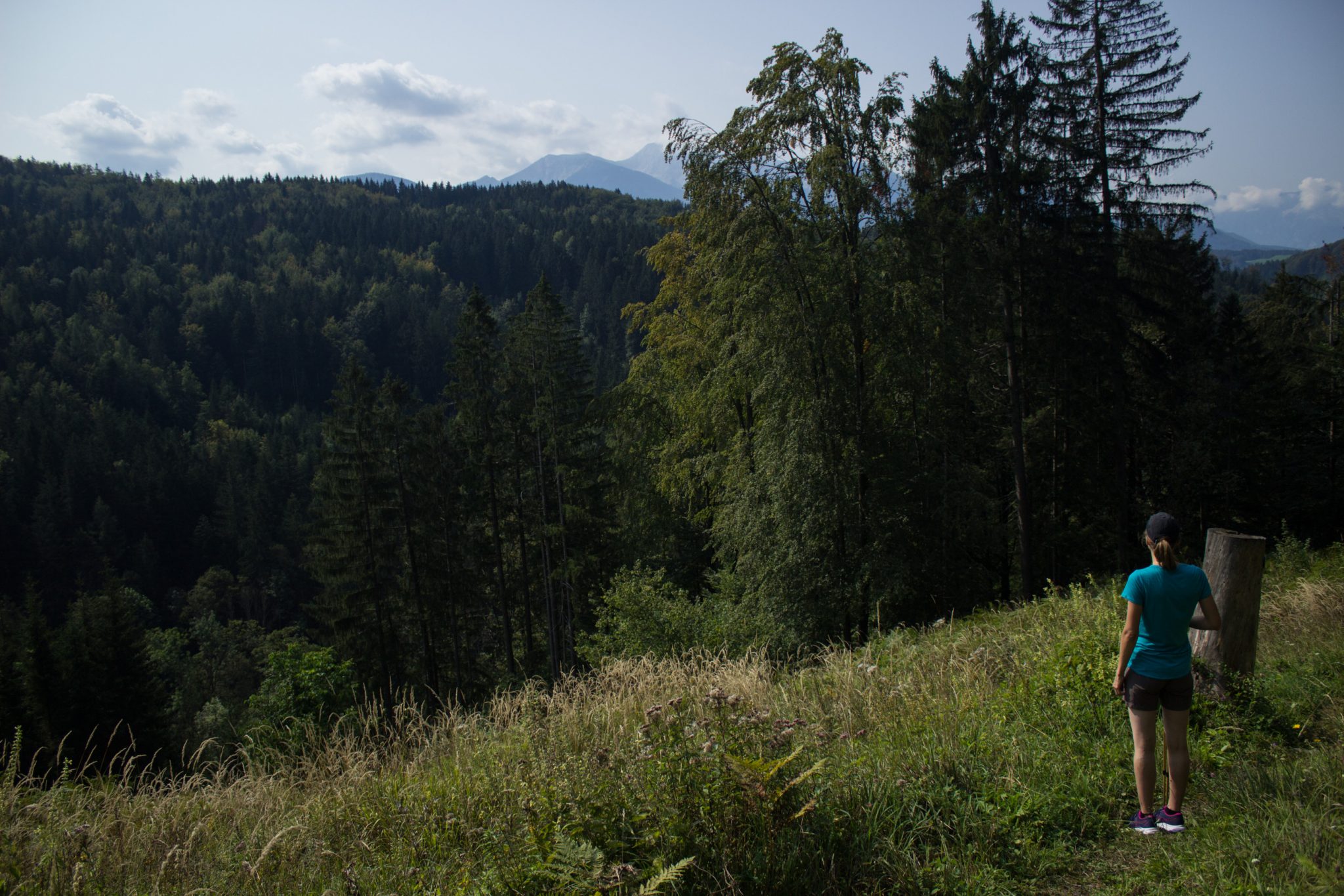 Wandern bei Windischgarsten auf den Kleinerberg über Salzabachtal, Leitersteig, Speikkogel und Schafsteig im Nationalpark Kalkalpen in Oberösterreich, Wanderer genießt Aussicht auf Wälder und Berge in der Ferne an warmem Sommertag
