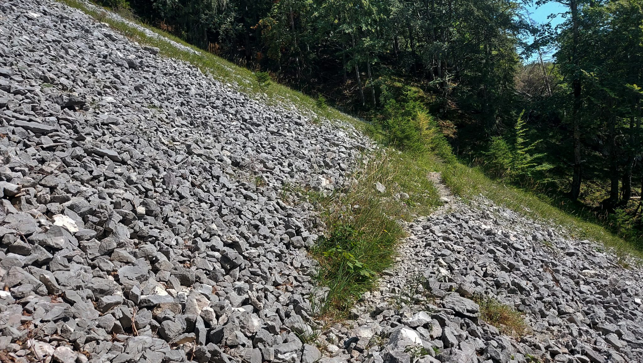 Wandern bei Windischgarsten auf den Kleinerberg über Salzabachtal, Leitersteig, Speikkogel und Schafsteig im Nationalpark Kalkalpen in Oberösterreich, Rundwanderweg in schöner Gebirgswelt, Spuren ehemaliger Erdrutsche sind sichtbar, schmaler Wanderweg führt über Geröllfeld am Berghang