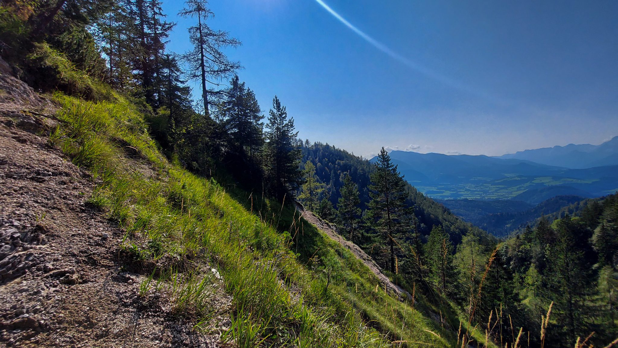 Wandern bei Windischgarsten auf den Kleinerberg über Salzabachtal, Leitersteig, Speikkogel und Schafsteig im Nationalpark Kalkalpen in Oberösterreich, Aussicht genießen auf umliegende Wälder und Berggipfel in der Ferne an warmem Sommertag, schmaler und steiler Wanderweg führt aufwärts