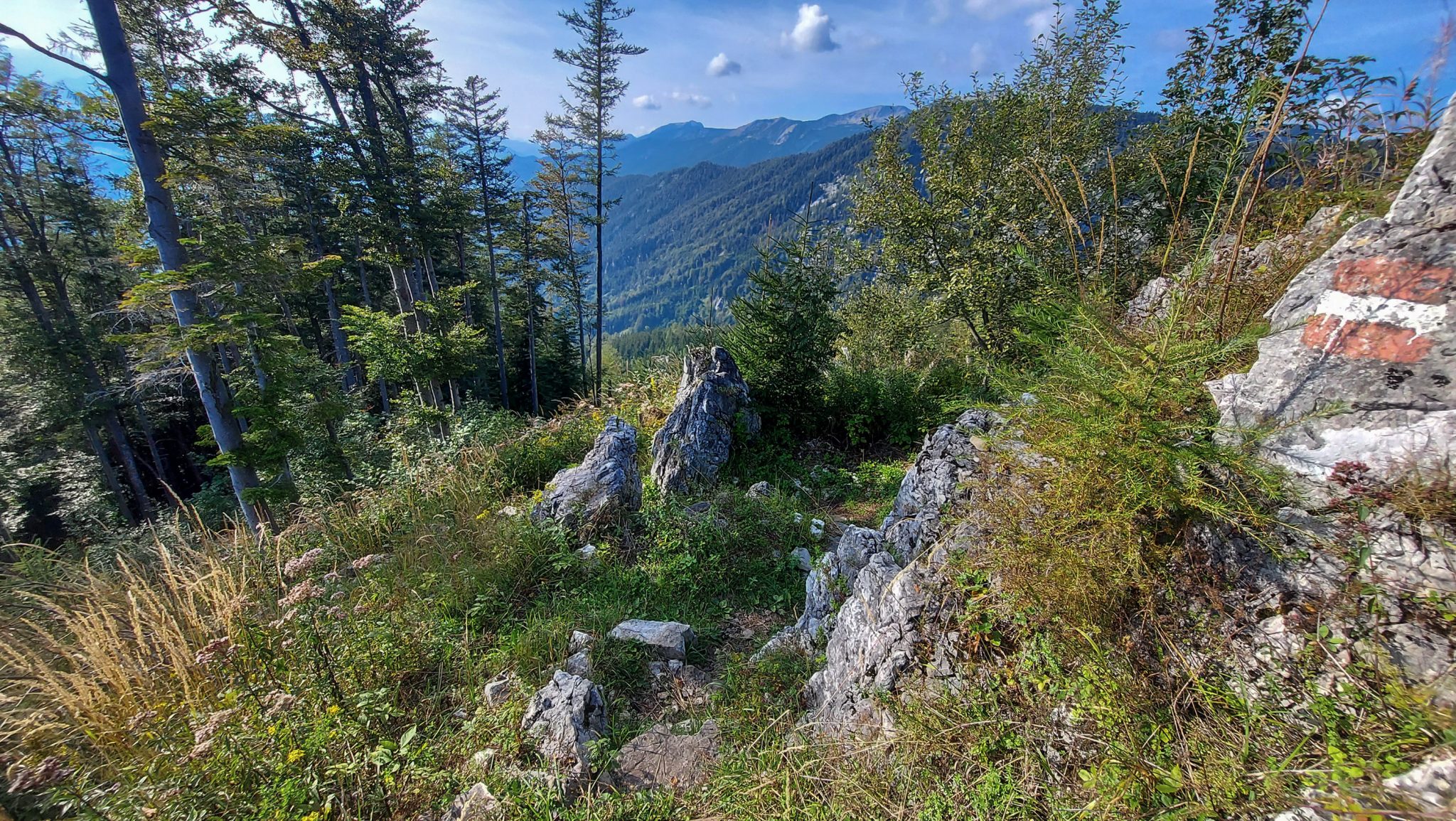 Wandern bei Windischgarsten auf den Kleinerberg über Salzabachtal, Leitersteig, Speikkogel und Schafsteig im Nationalpark Kalkalpen in Oberösterreich, unterwegs auf Wanderweg des Schafsteigs im Nationalpark Kalkalpen während des Rundwegs bei Windischgarsten, Markierung des Weges auf einem Stein, sehr abwechslungsreiche Wegführung auf toller Wanderung