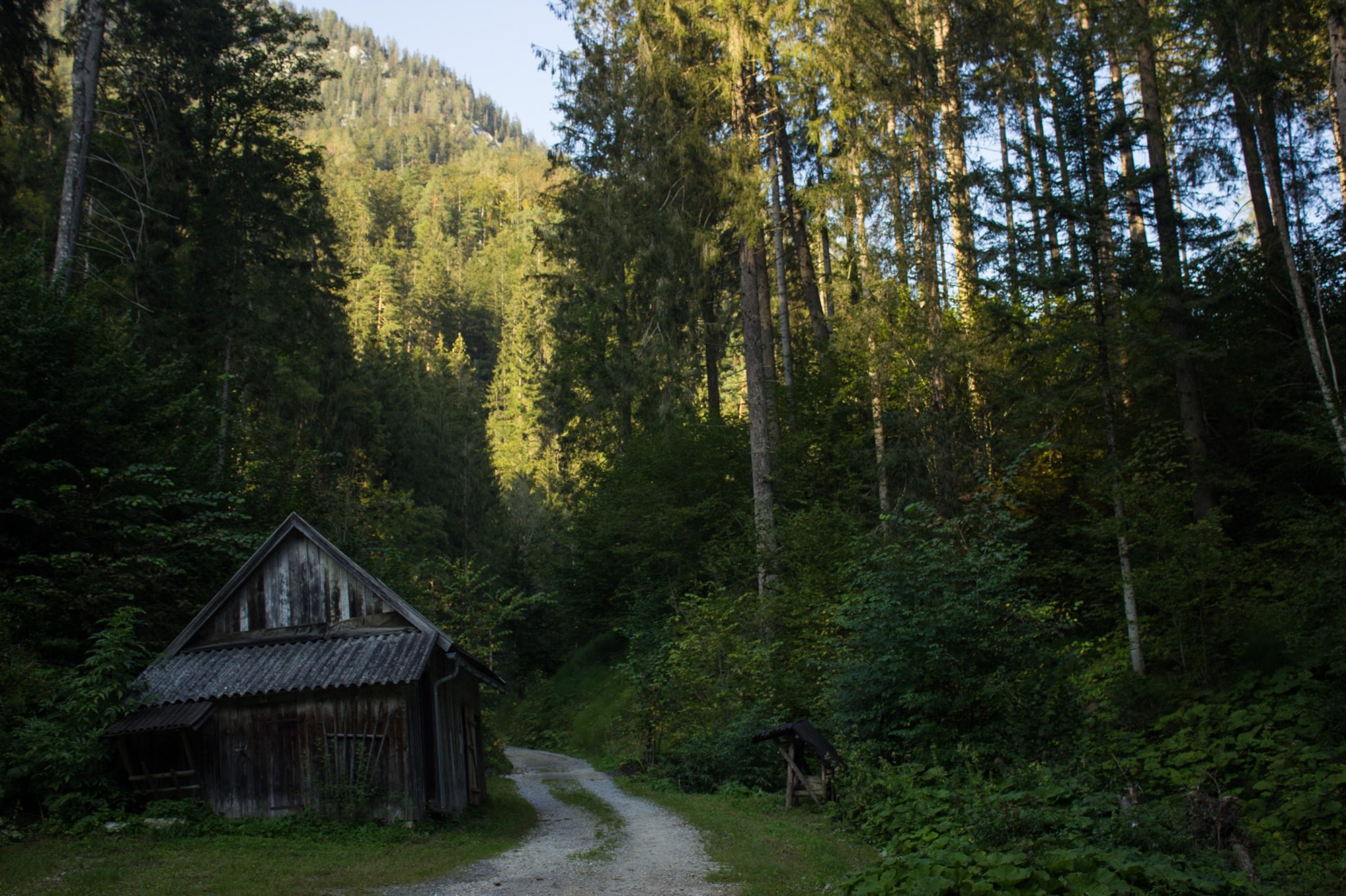 Wandern bei Windischgarsten auf den Kleinerberg über Salzabachtal, Leitersteig, Speikkogel und Schafsteig im Nationalpark Kalkalpen in Oberösterreich, nach Abstieg über Wanderweg des Schafsteigs im Nationalpark Kalkalpen geht es zurück im Salzabachtal, kleine Hütte steht am Wegesrand, abwechslungsreicher, jetzt breiterer Wanderweg durch schönen, sehr dichten und grünen Wald, eine sehr empfehlenswerte Wanderung
