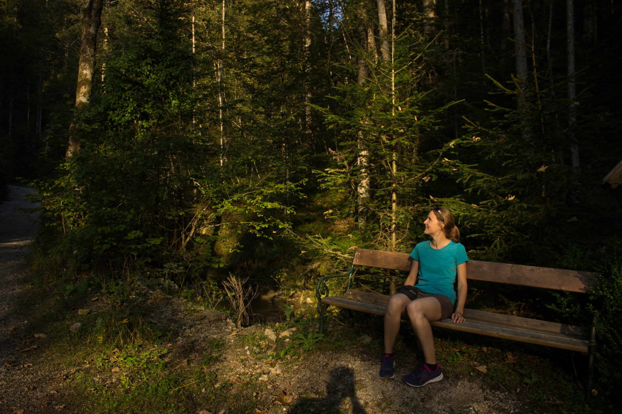 Wandern bei Windischgarsten auf den Kleinerberg über Salzabachtal, Leitersteig, Speikkogel und Schafsteig im Nationalpark Kalkalpen in Oberösterreich, nach Abstieg über Wanderweg des Schafsteigs im Nationalpark Kalkalpen geht es zurück im Salzabachtal, Salzabach fließt sanft dahin, untergehende Sonne zaubert schönes Licht, Wanderer sitzt auf Bank und genießt die Natur, abwechslungsreicher Wanderweg durch schönen, sehr dichten und grünen Wald, eine sehr empfehlenswerte Wanderung