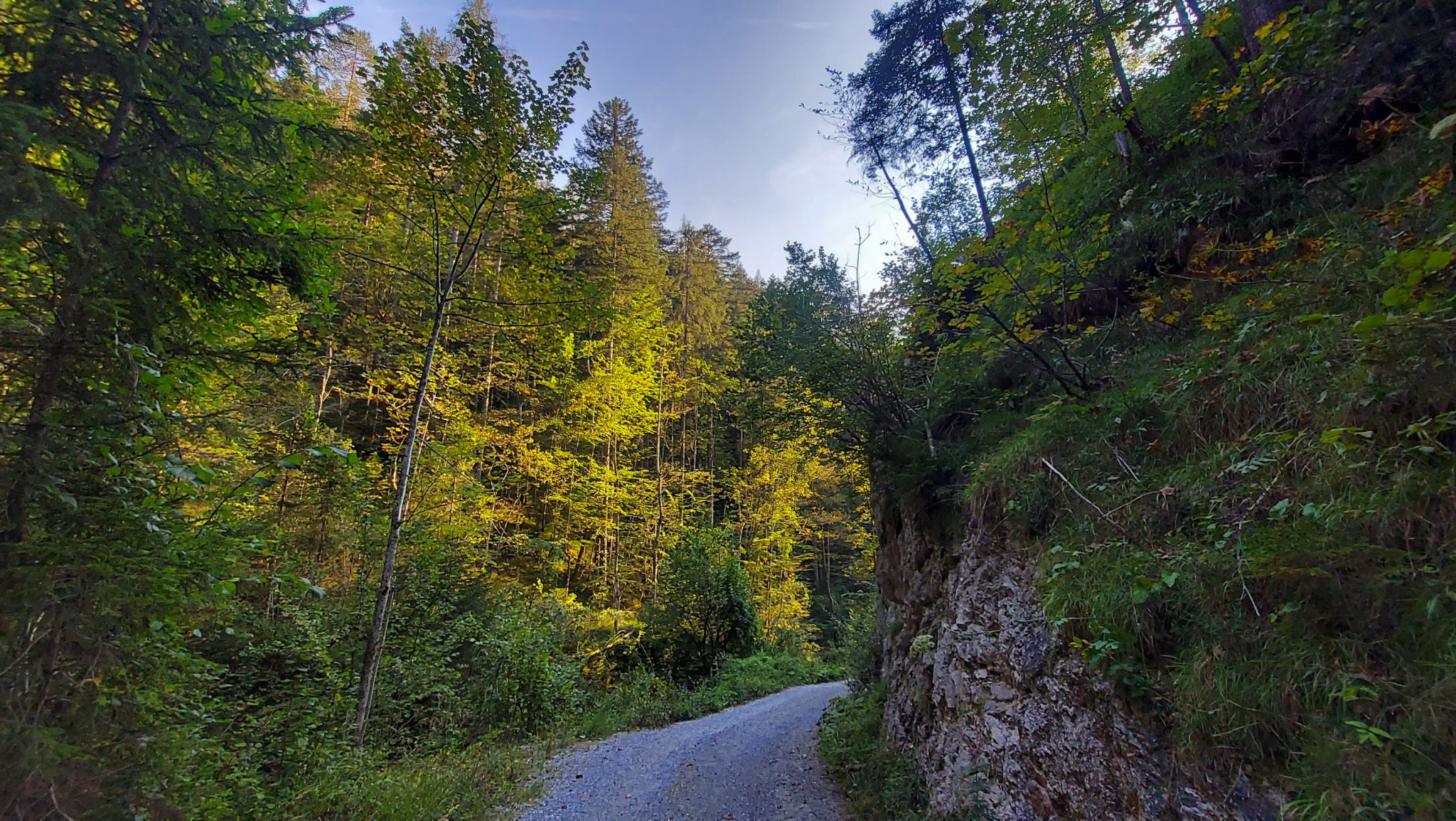Wandern bei Windischgarsten auf den Kleinerberg über Salzabachtal, Leitersteig, Speikkogel und Schafsteig im Nationalpark Kalkalpen in Oberösterreich, Rückweg zum Ausgangspunkt bei Windischgarsten durch abermals schönen Wald auf breiterem Wanderweg, untergehende Sonne zaubert schönes Licht auf die umliegenden Bäume