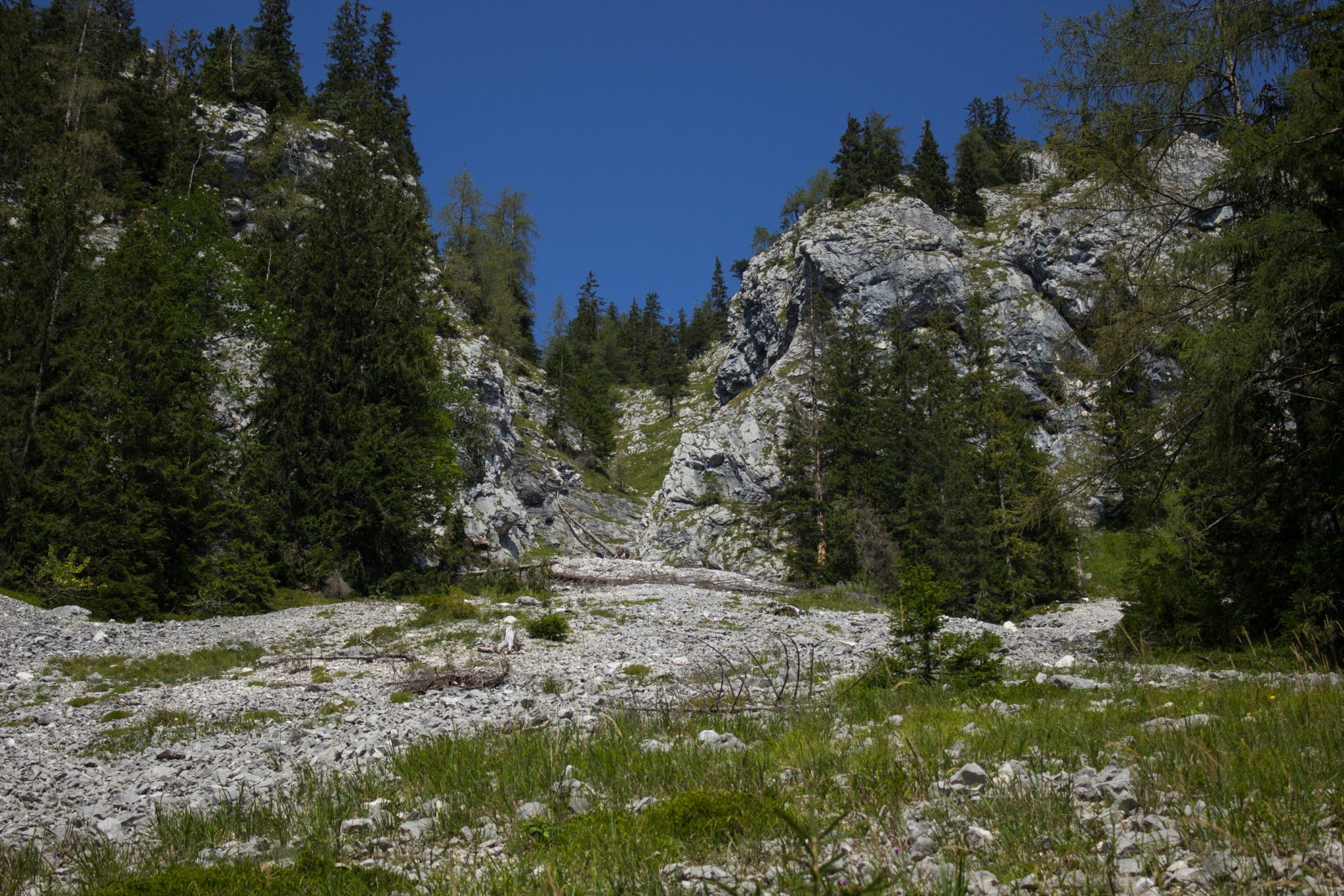 Wandern bei Windischgarsten auf den Kleinerberg über Salzabachtal, Leitersteig, Speikkogel und Schafsteig im Nationalpark Kalkalpen in Oberösterreich, Rundwanderweg in schöner Gebirgswelt, Spuren ehemaliger Erdrutsche sind sichtbar