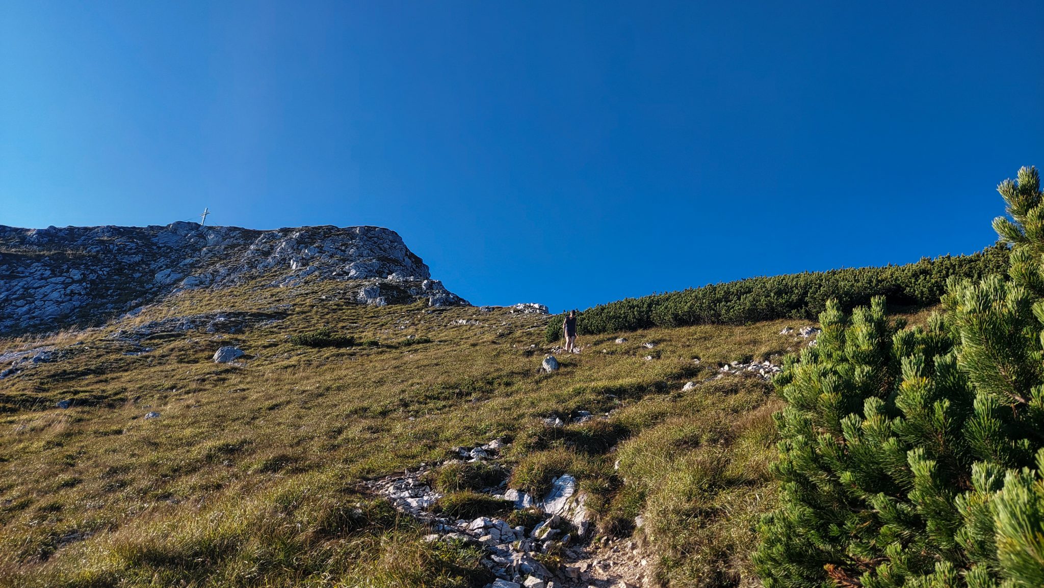 Wanderung Hoher Nock ab Windischgarsten im Nationalpark Kalkalpen in Oberösterreich, auf dem Rückweg vom Berg Hoher Nock in Österreich, Wanderer unterwegs auf schmalem Wanderweg über Stock und Stein, karge Vegetation, sehr abwechslungsreiche Wanderung