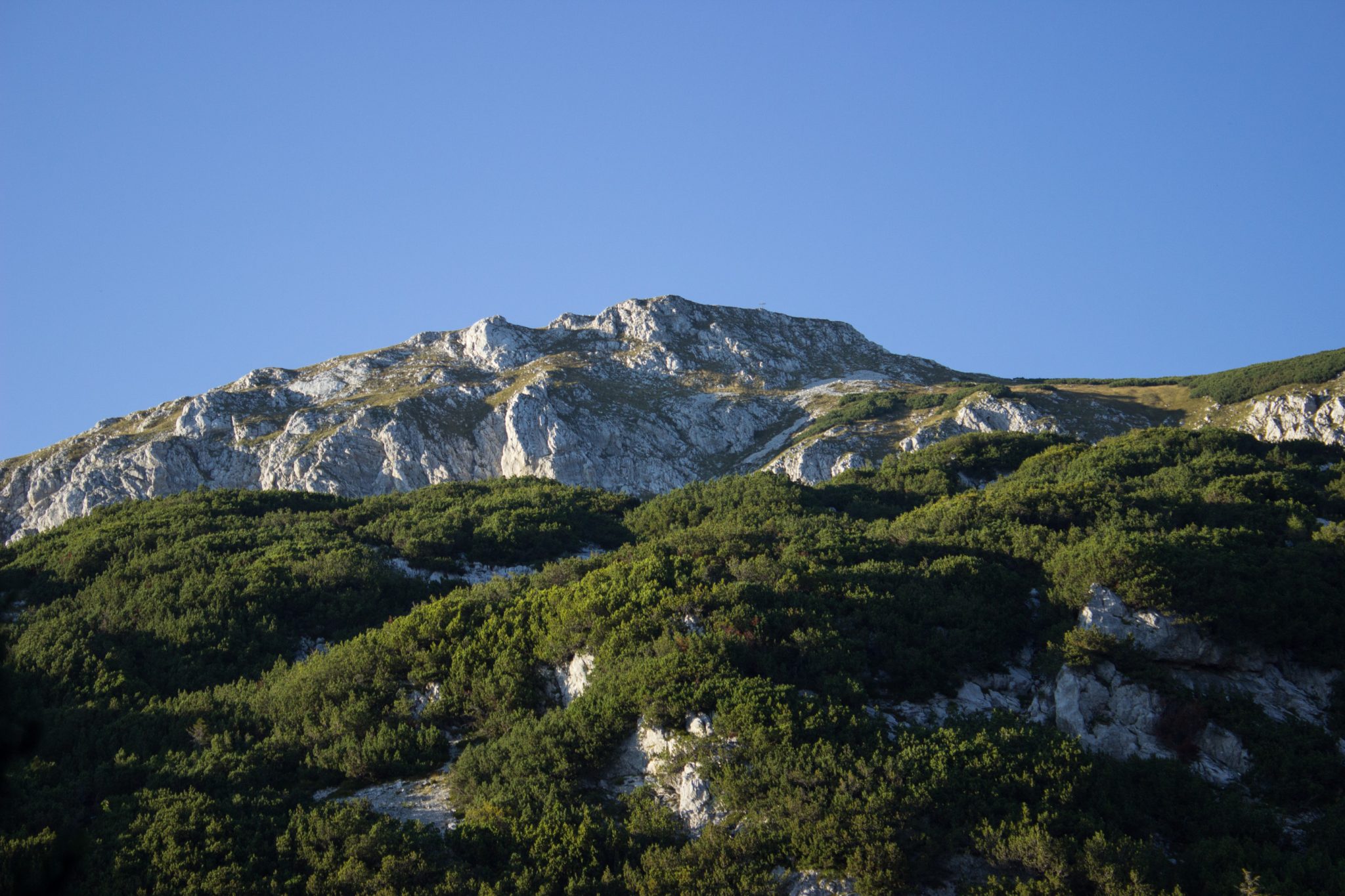 Wanderung Hoher Nock ab Windischgarsten im Nationalpark Kalkalpen in Oberösterreich, auf dem Berggipfel des Hohen Nocks angekommen, tolle weite Aussichten auf die umliegenden Berge der Kalkalpen in Österreich, Berge mit dichter Vegetation bewachsen