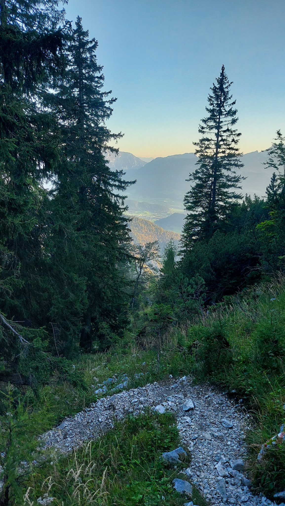Wanderung Hoher Nock ab Windischgarsten im Nationalpark Kalkalpen in Oberösterreich, nahender Sonnenuntergang taucht die Welt in schönes Licht, auf dem Rückweg vom Berg Hoher Nock in Österreich, Aussicht auf Bäume und dahinterliegende Bergwelt, naturbelassener, sehr abwechslungsreicher Wanderweg führt steil abwärts