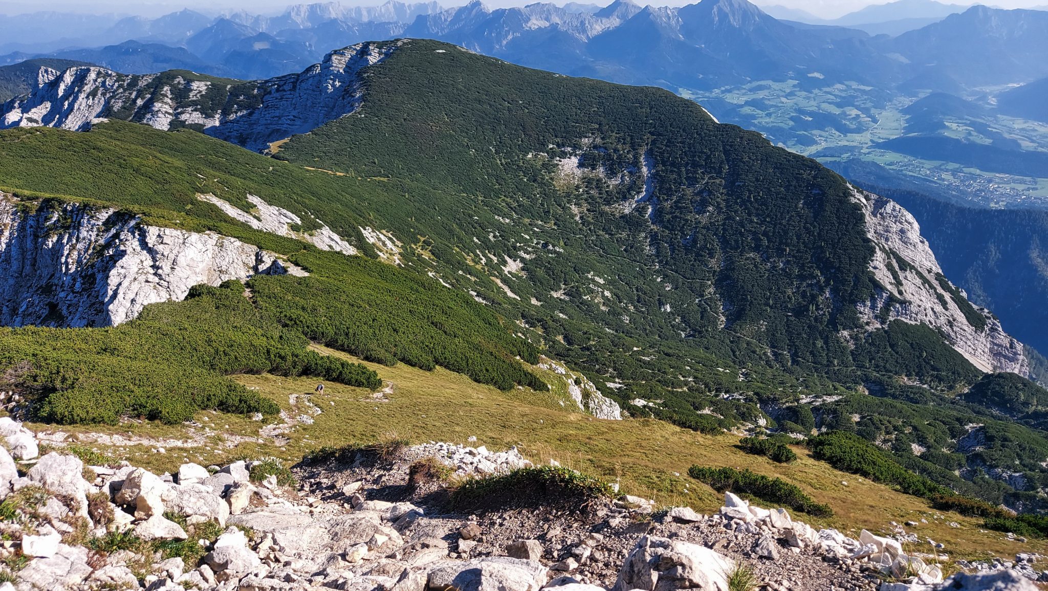 Wanderung Hoher Nock ab Windischgarsten im Nationalpark Kalkalpen in Oberösterreich, auf dem Berggipfel des Hohen Nocks angekommen, großes Plateau auf dem Gipfel, tolle weite Aussichten auf die umliegenden Berge der Kalkalpen in Österreich, Berge mit dichter Vegetation