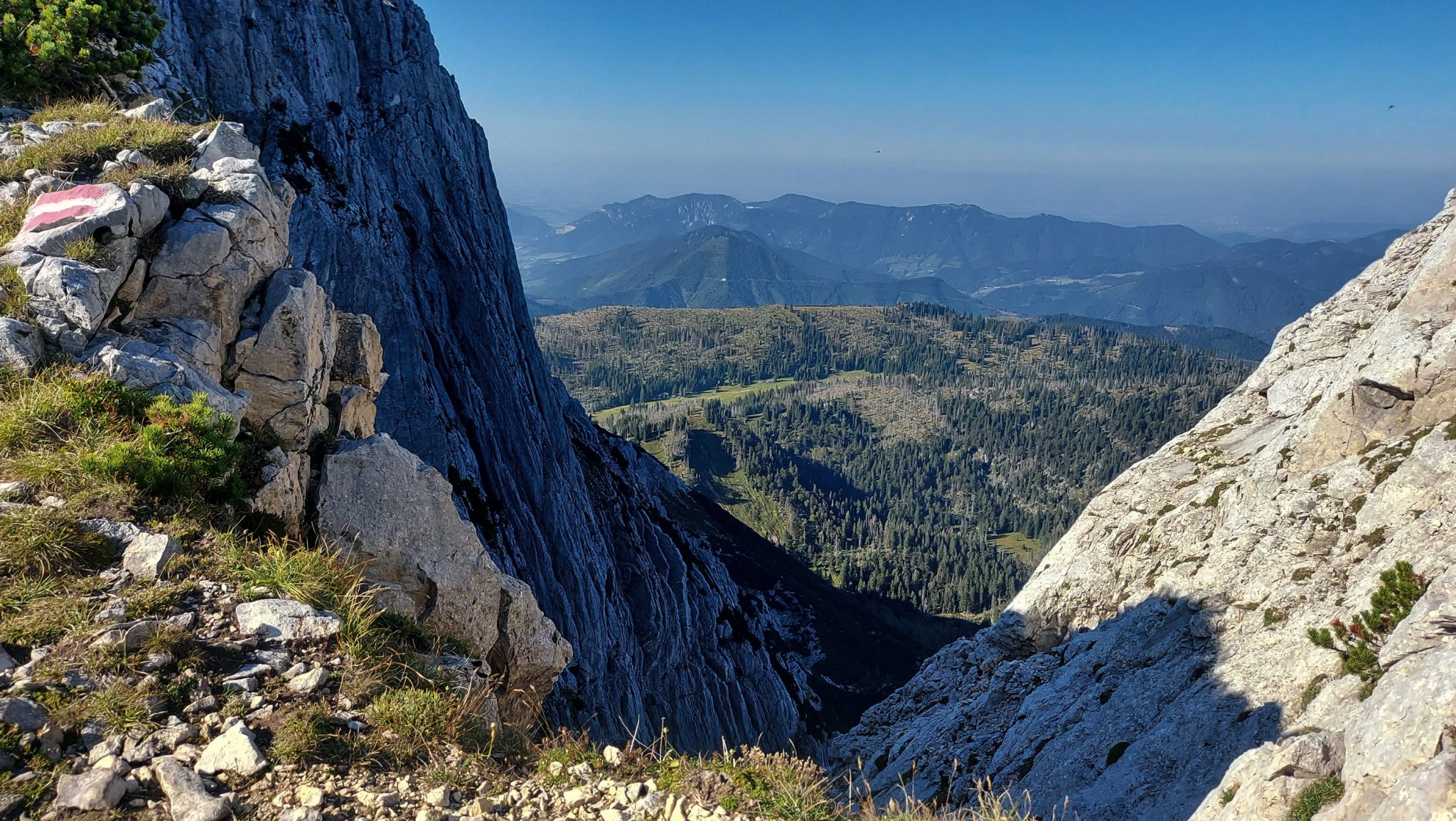 Wanderung Hoher Nock ab Windischgarsten im Nationalpark Kalkalpen in Oberösterreich, auf dem Berggipfel vom Hohen Nock angekommen mit ziemlich großer Gipfelebene, beeindruckender Blick auf die steil abfallenden Felswände vom Berg Hoher Nock, weite Aussichten bis runter ins Tal